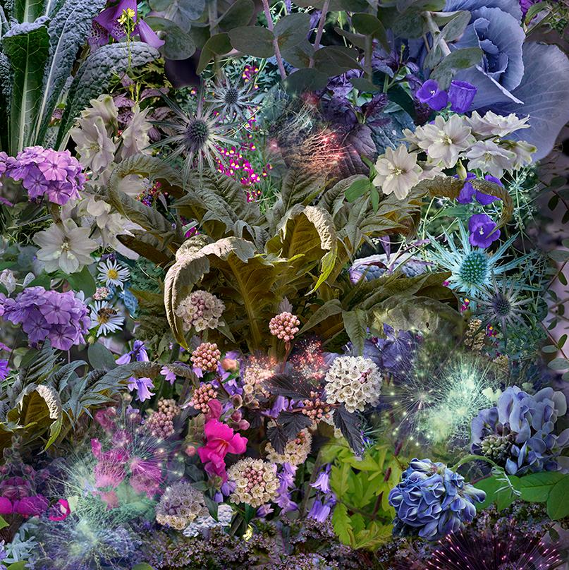Singing Over Shrubs and Vines..., Photograph of Flowers in Violet, Green, Pink - Black Abstract Photograph by Lisa A. Frank