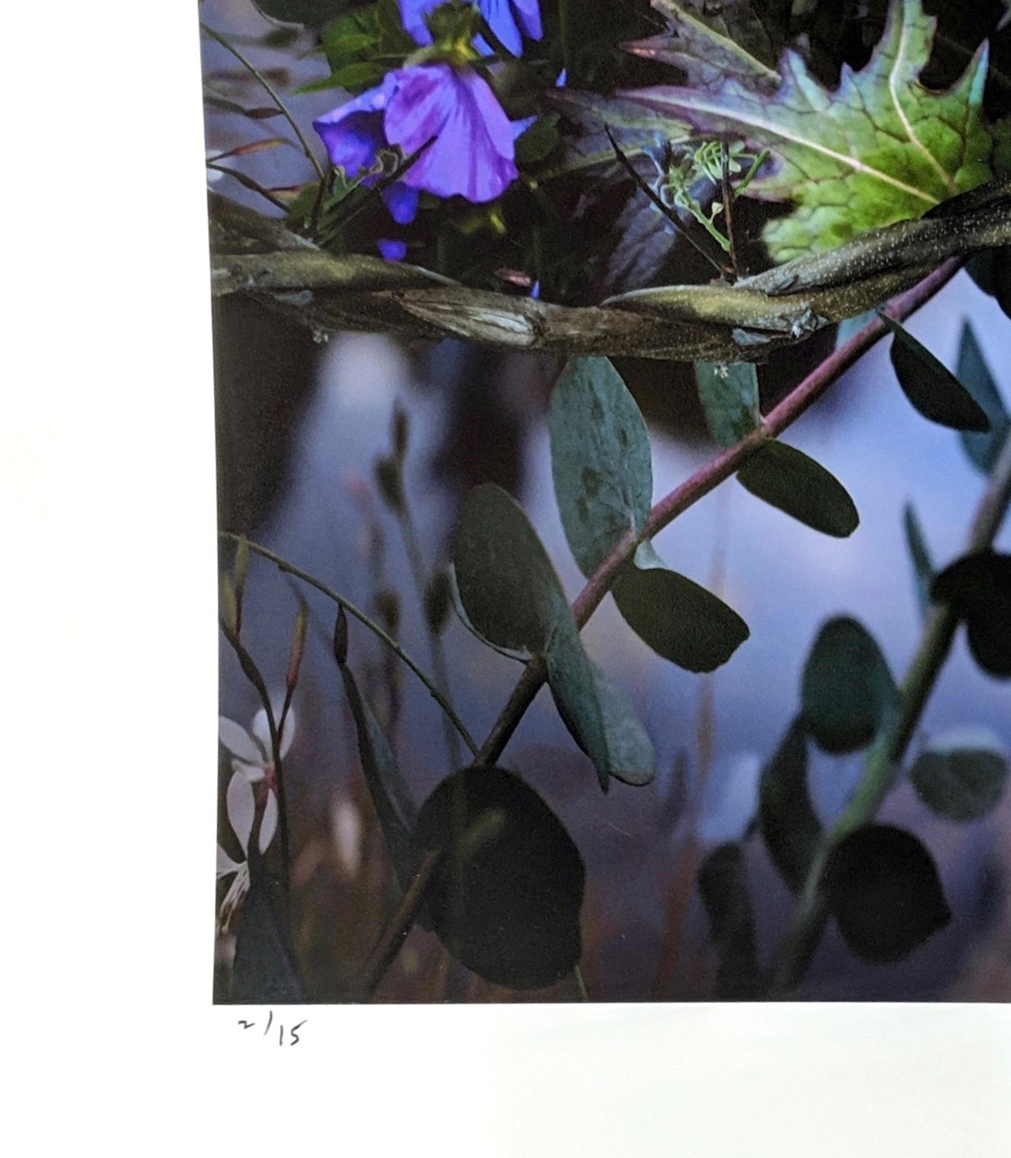 Singing Over Shrubs and Vines..., Photograph of Flowers in Violet, Green, Pink 1