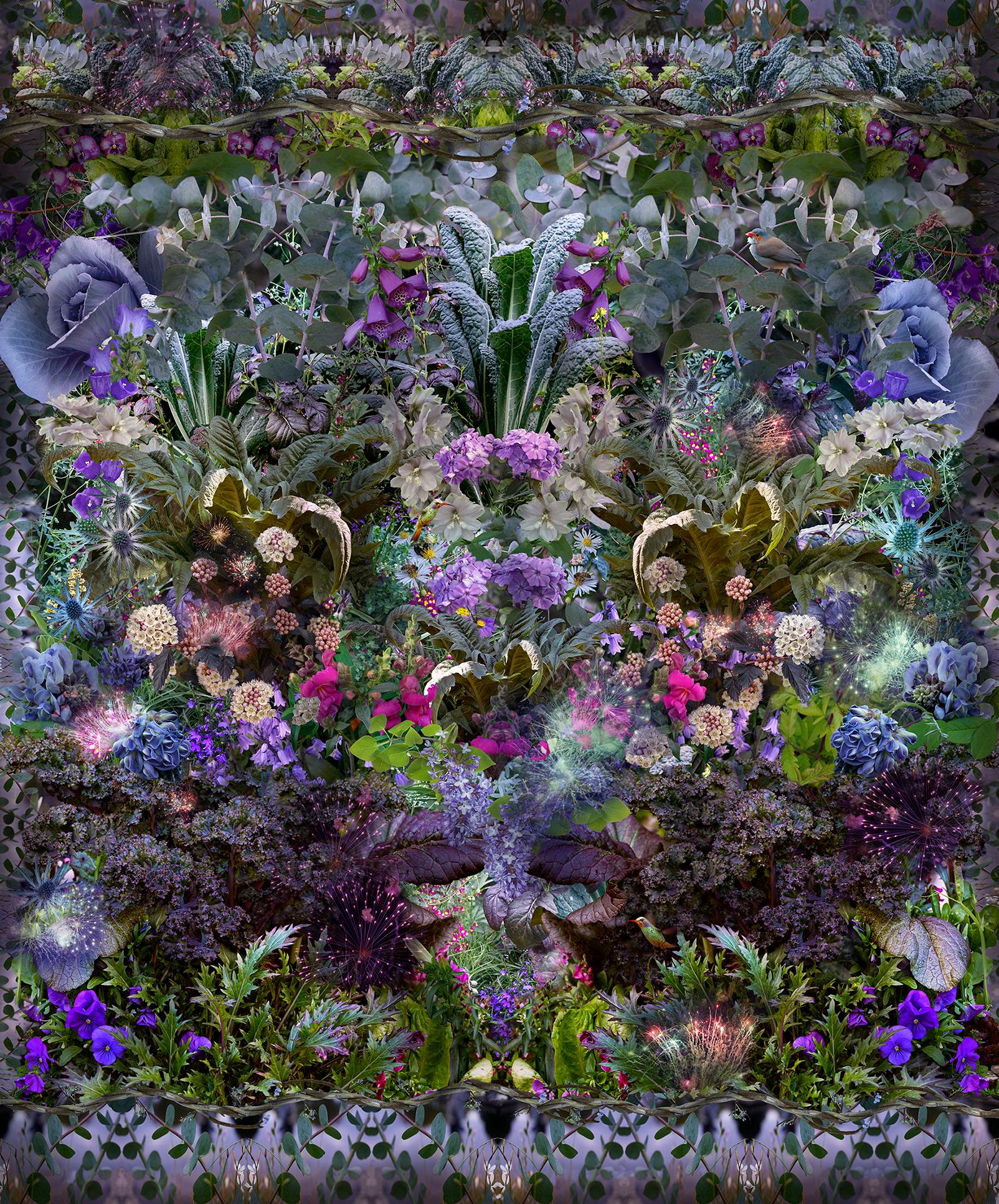 Lisa A. Frank Abstract Photograph - Singing Over Shrubs and Vines..., Photograph of Flowers in Violet, Green, Pink