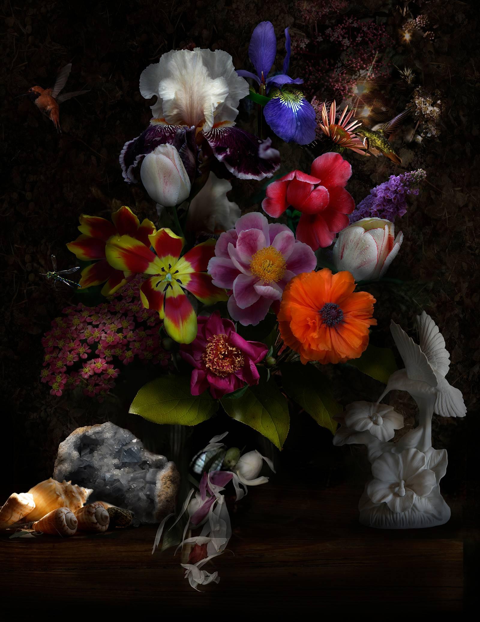 Color Photograph Lisa A. Frank - Nature morte aux colibris, Nature morte botanique avec oiseau, cristal