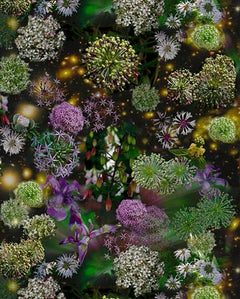 The Sky is Wide Open: Abstract Still Life Photograph of Purple & Green Flowers
