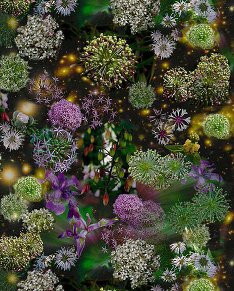 El Cielo Está Bien Abierto: Fotografía abstracta de bodegón de flores moradas y verdes - Photograph de Lisa A. Frank