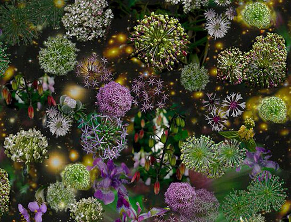 Der Himmel ist weit offen: Abstrakte Stilllebenfotografie mit lila und grünen Blumen (Moderne), Photograph, von Lisa A. Frank