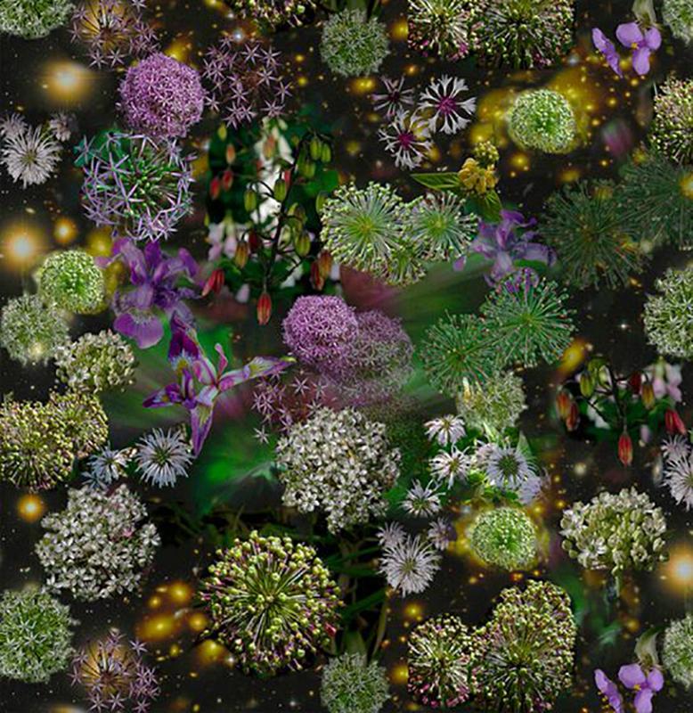 Der Himmel ist weit offen: Abstrakte Stilllebenfotografie mit lila und grünen Blumen (Schwarz), Still-Life Photograph, von Lisa A. Frank