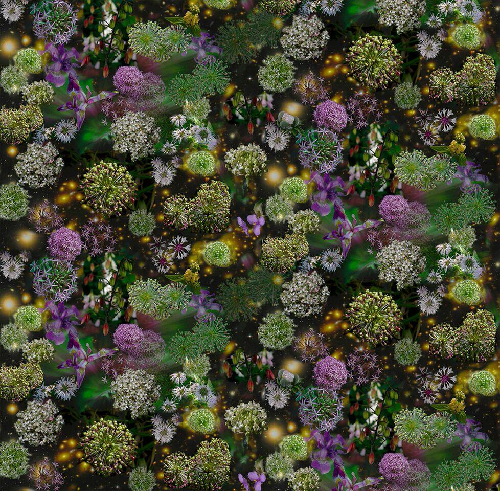Lisa A. Frank Still-Life Photograph – Der Himmel ist weit offen: Abstrakte Stilllebenfotografie mit lila und grünen Blumen