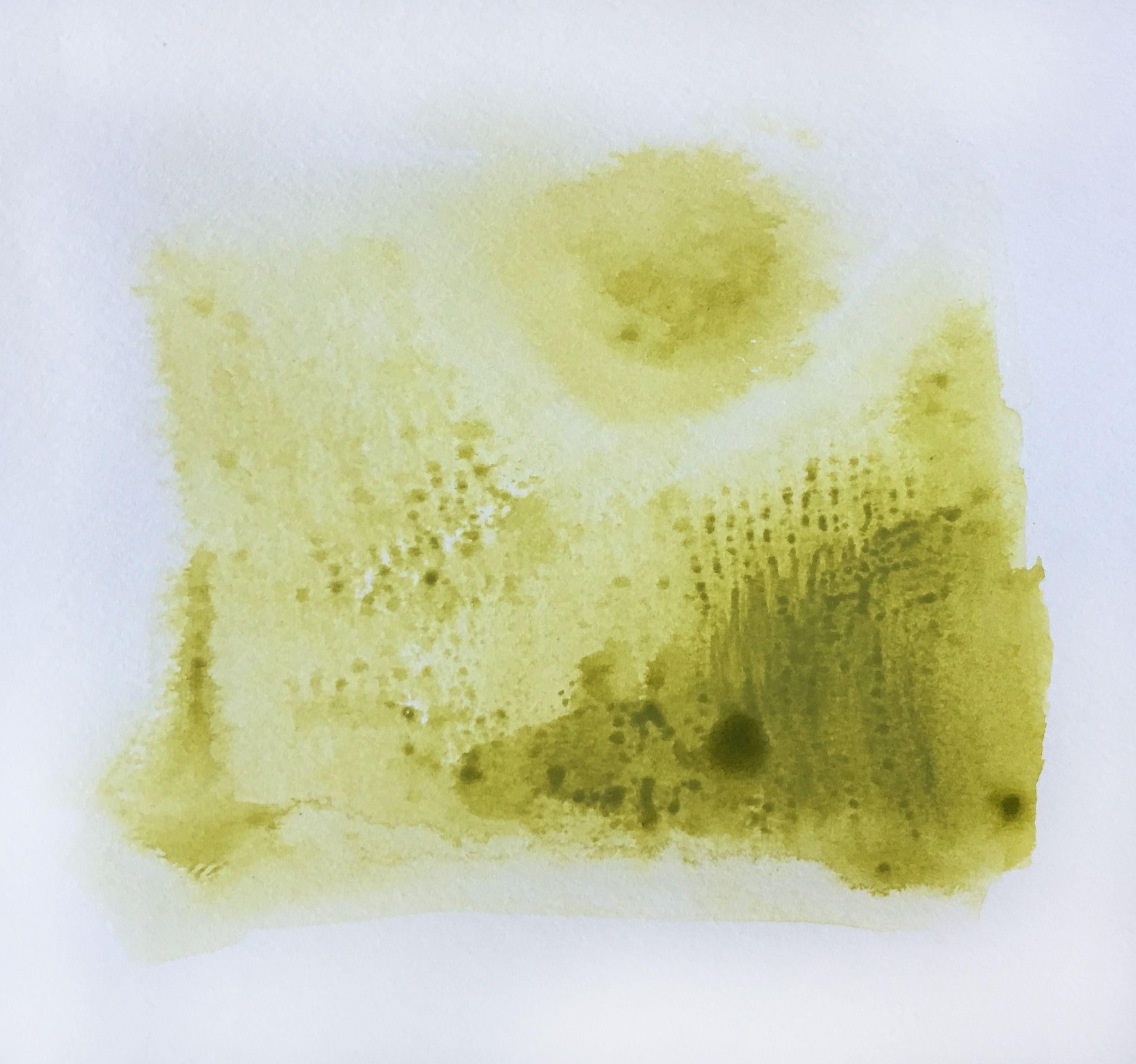Abstract Painting di Lisa Bolin - Delizia di Chartreuse, Pittura, Acrilico su carta acquerellata