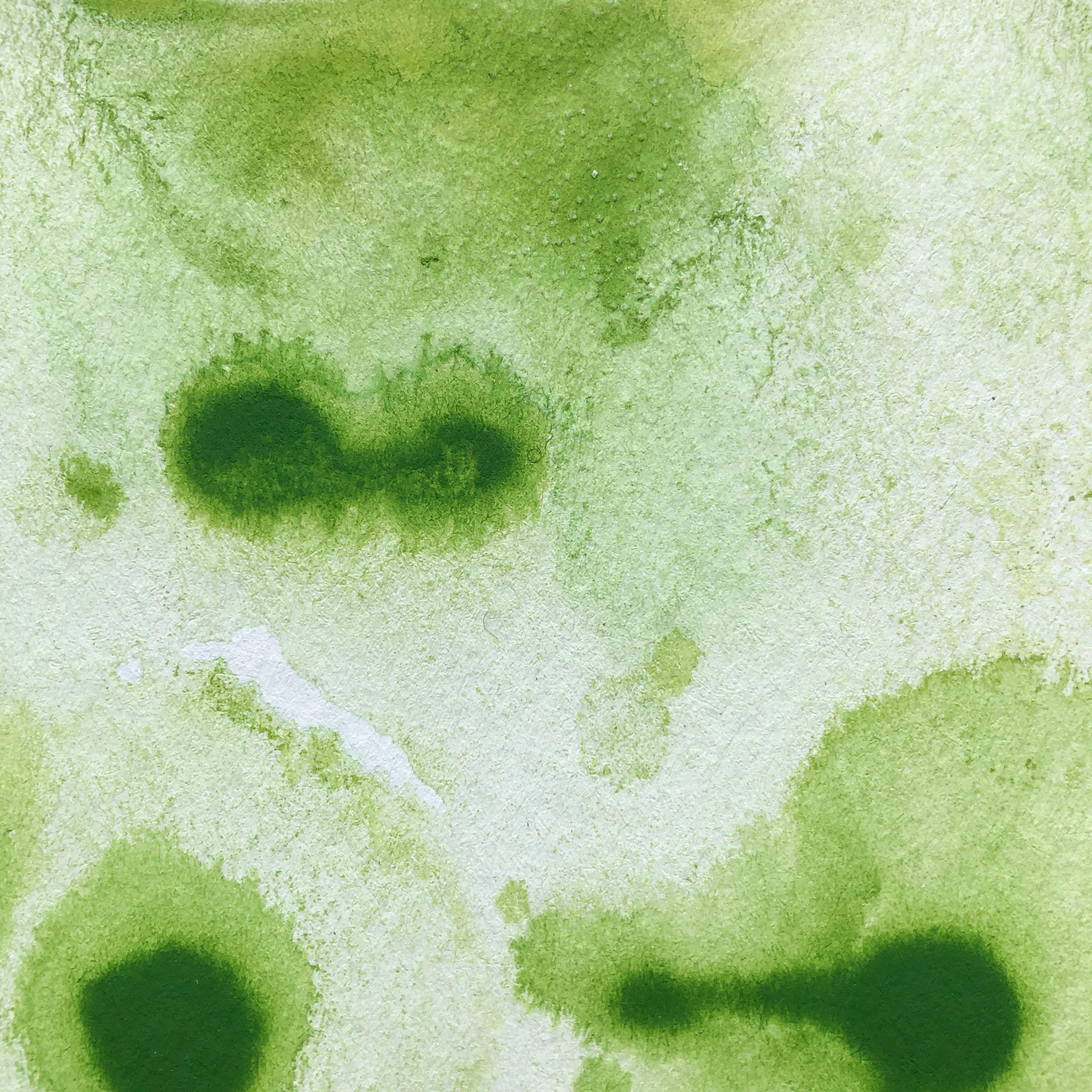 Renovación 2, Pintura, Acrílico sobre papel de acuarela - Painting Abstracto de Lisa Bolin