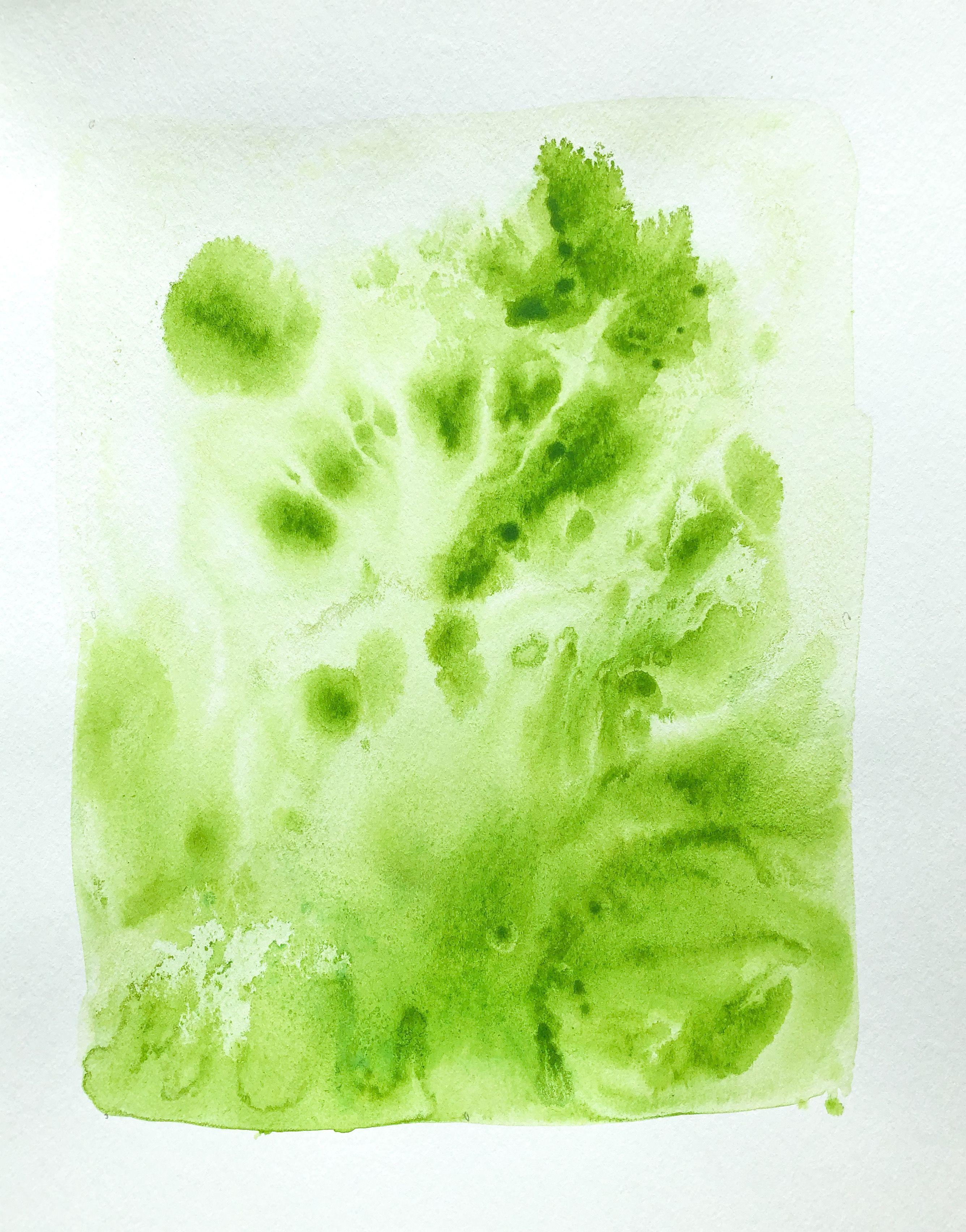 Abstract Painting de Lisa Bolin - Renovación 3, Pintura, Acrílico sobre papel de acuarela