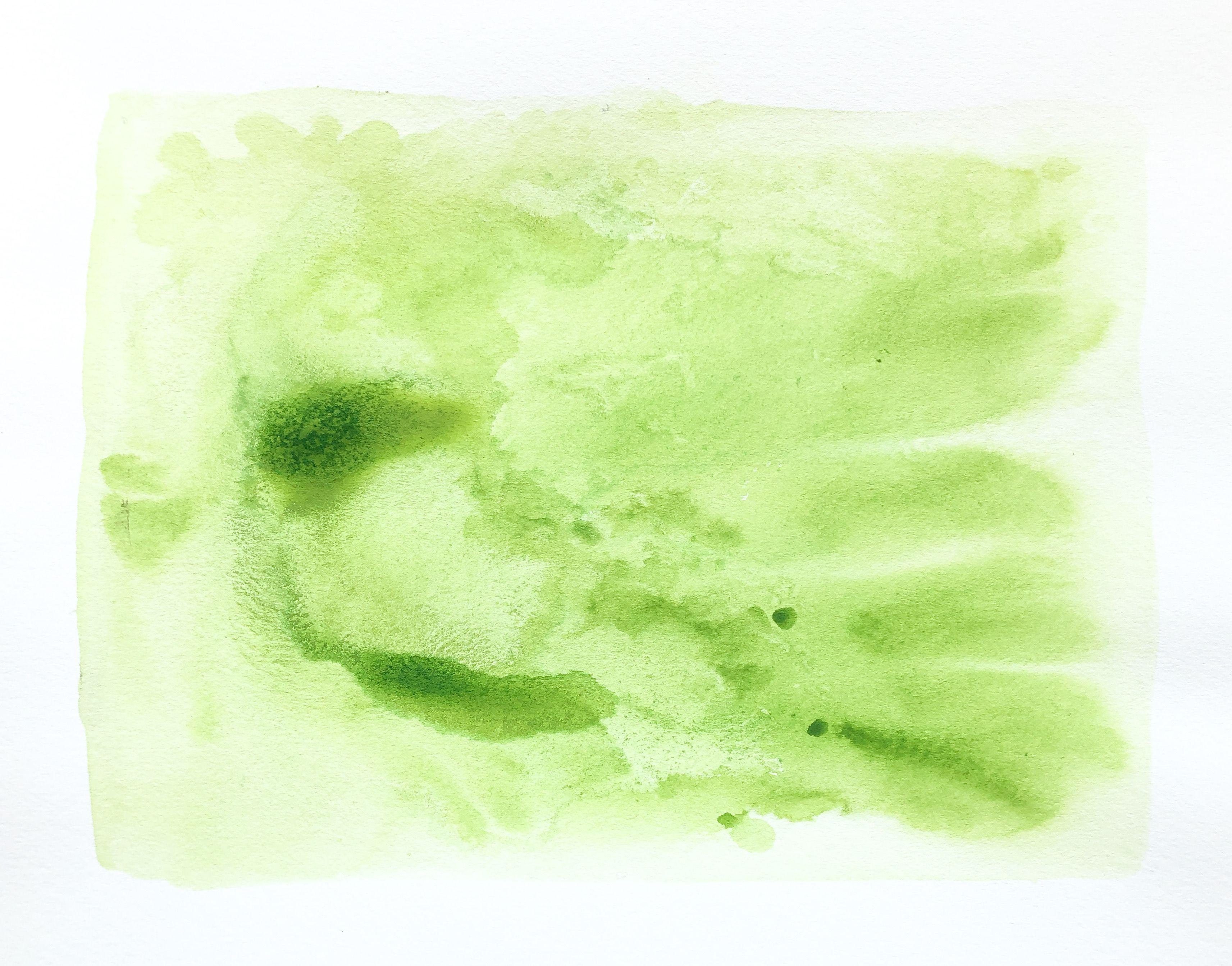 Vivid and luscious plumes of emerald green pigment splayed across heavy watercolor bond. It was created with salt water and acrylics. the combination causes wonderful reactions, resulting in organic branching of pigments. This piece is part of a