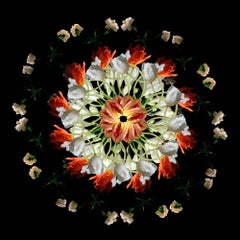 F9 (Floriculture, Flora, Contemporary British Photography, Digital Photography)