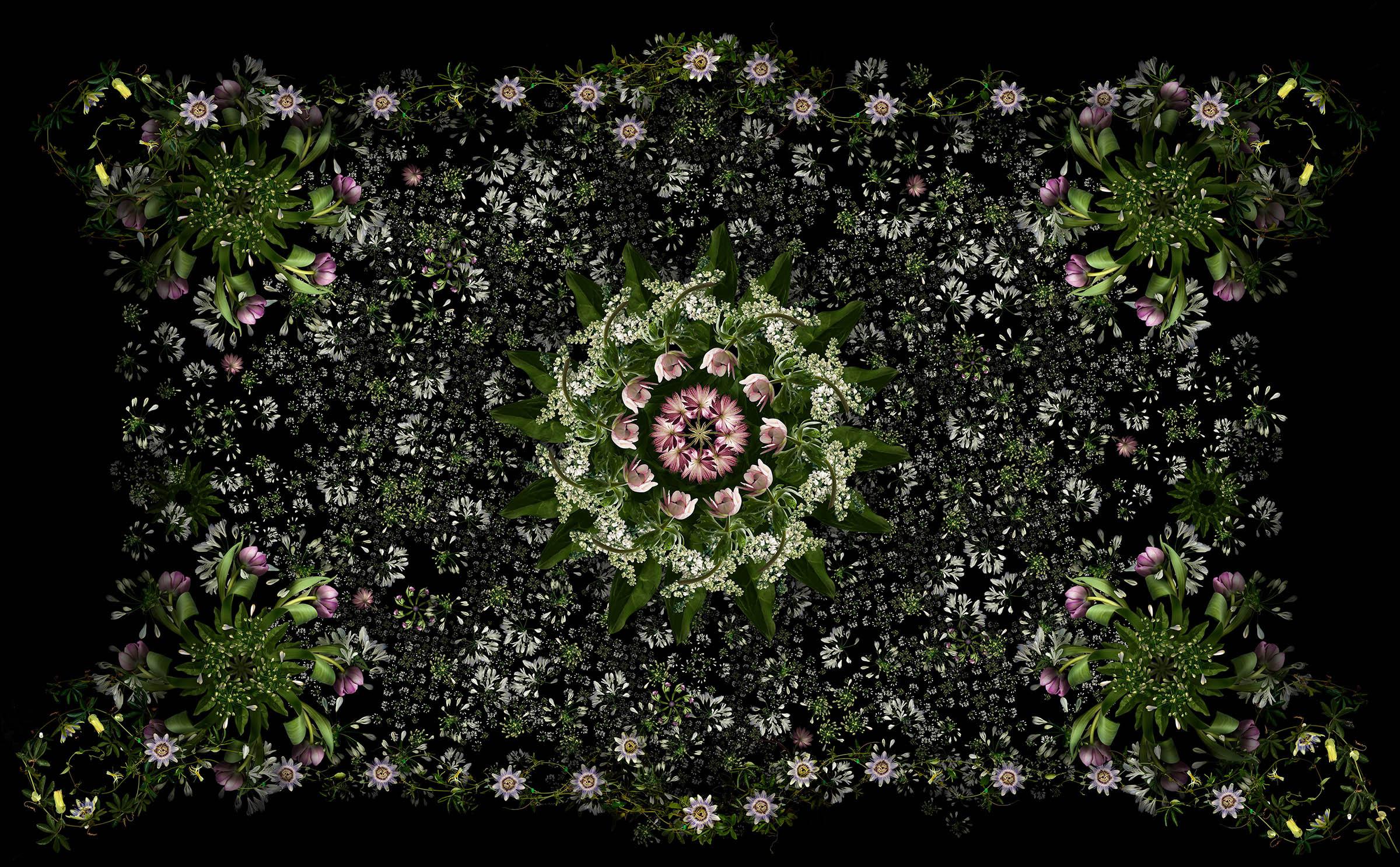 Tieni presente che gli Stati Uniti hanno recentemente imposto un dazio all'importazione sulle fotografie stampate negli ultimi 20 anni, che potrebbe essere applicato se stai acquistando e importando questo prodotto negli Stati Uniti.

Floriculture 2