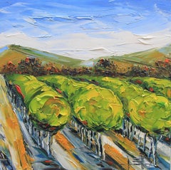 Napa Valley in the Summer