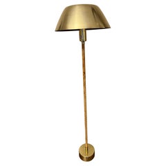 Lampade da terra