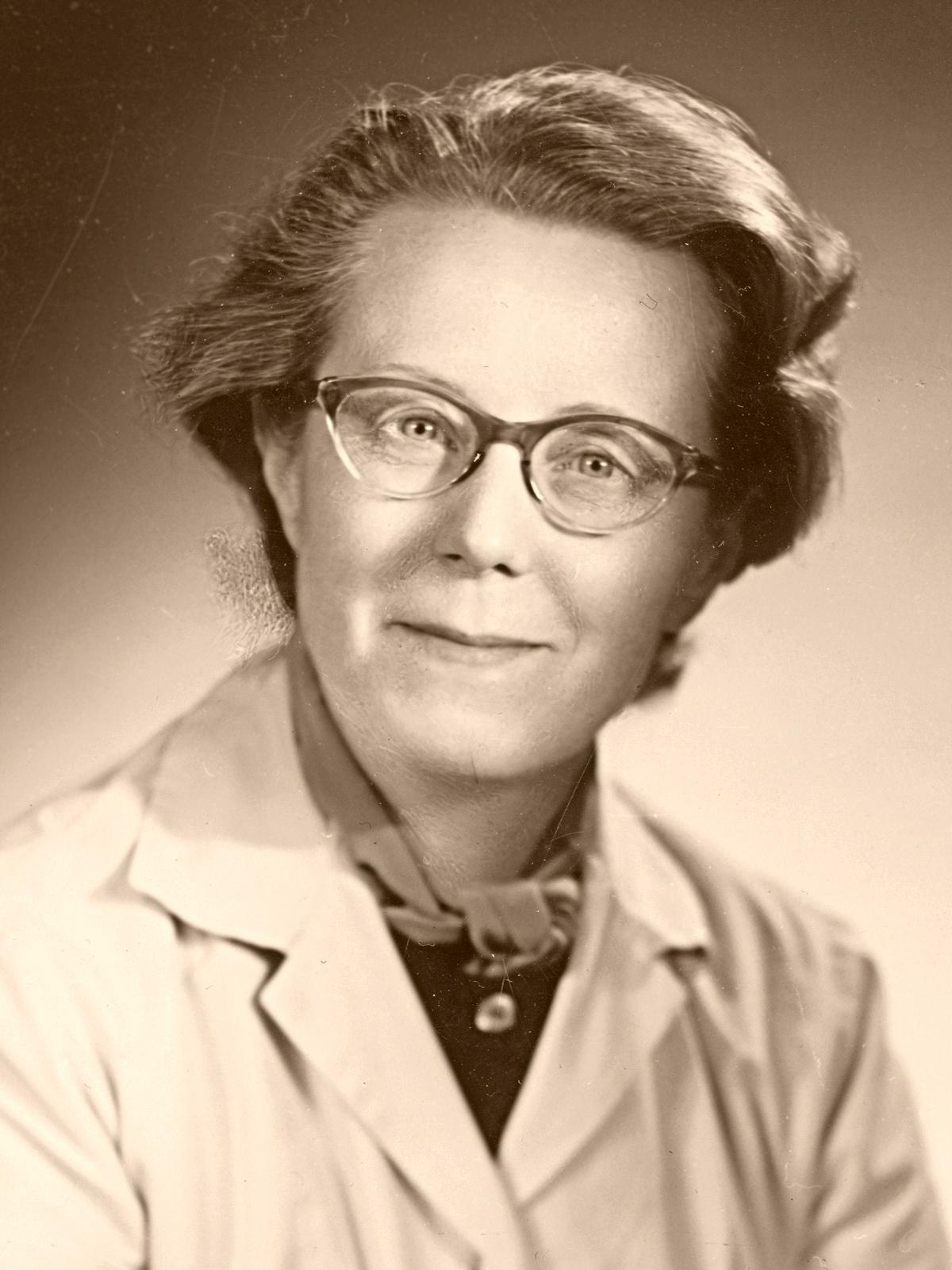 lisa johansson-pape senator