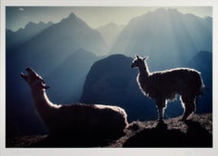 Sun Rise Machu Picchu