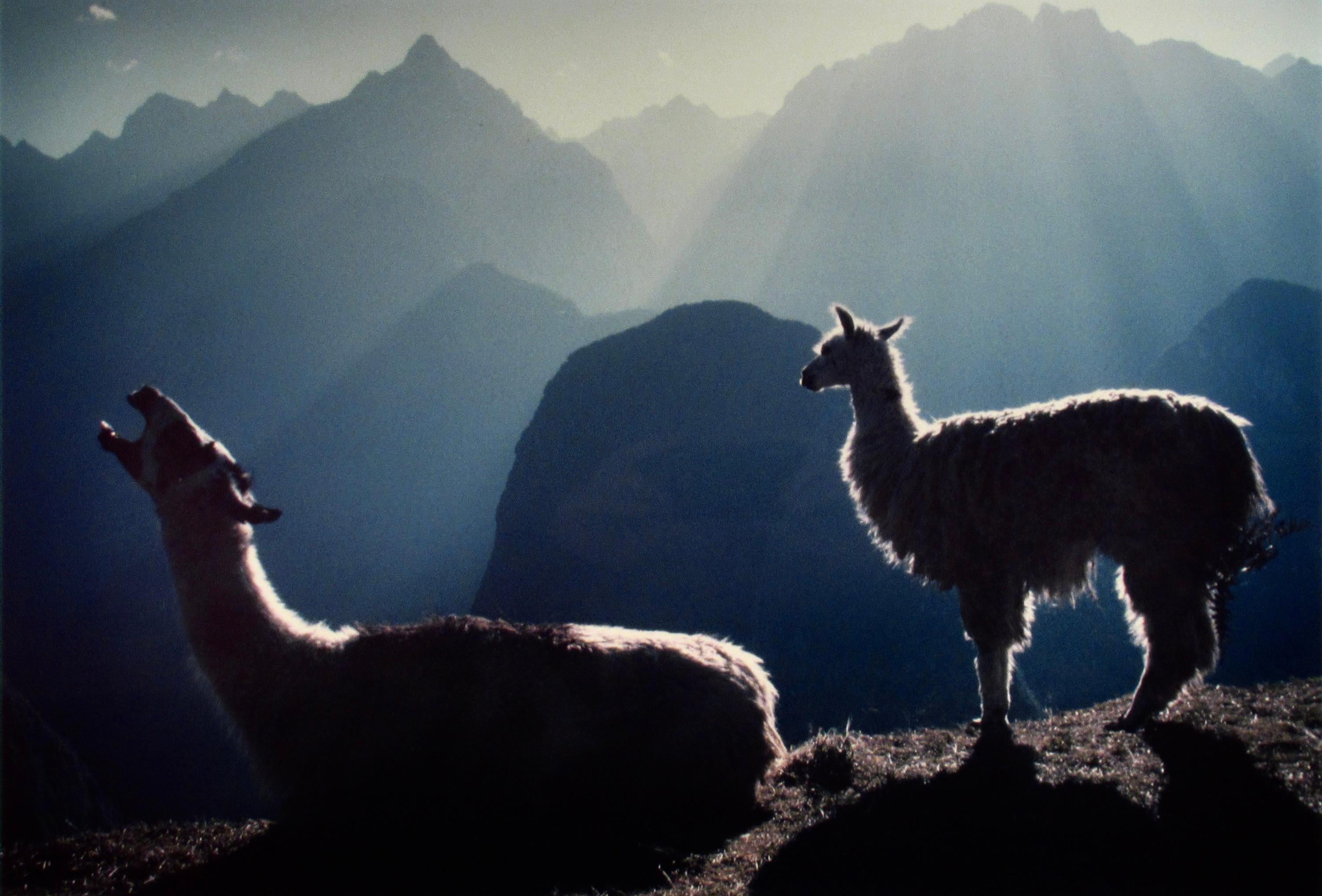 Amanecer Machu Picchu - Photograph Fotorrealista de Lisa Kristine