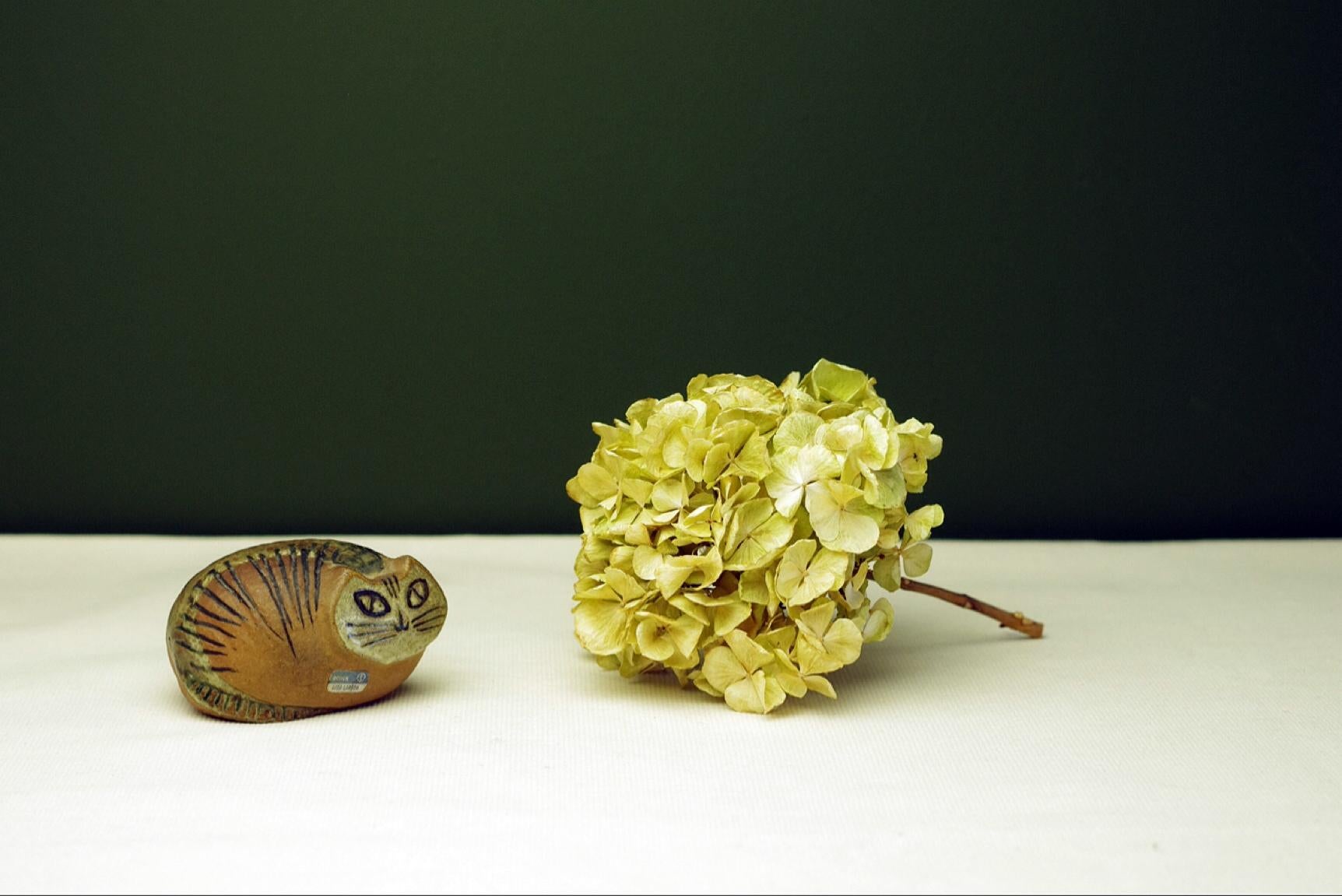 Product Description: 
This work is part of Lisa Larson's early series. The name of the series, Lilla Zoo, translates top 