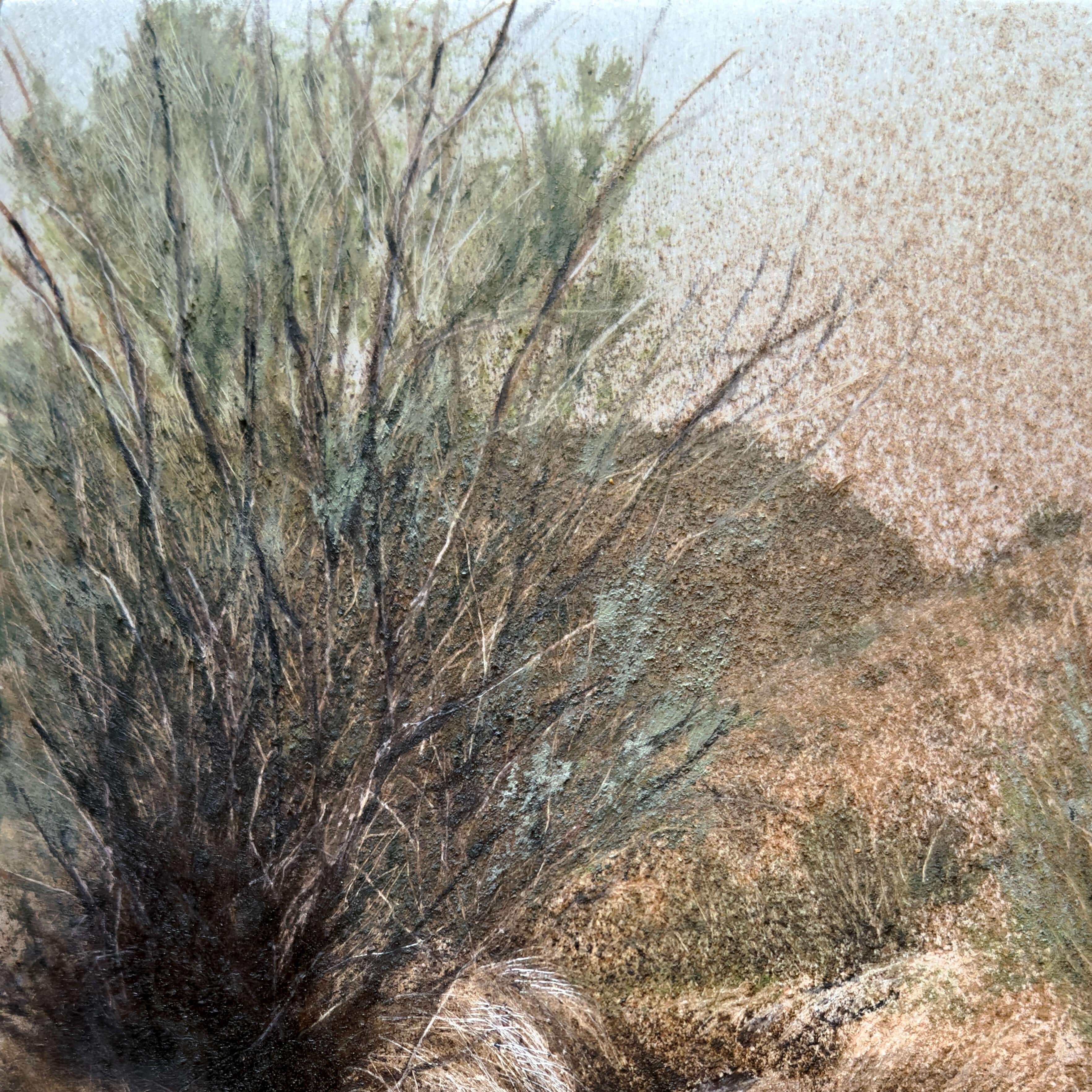 Tamarisk Invasion, Original Dirt and Oil Painting For Sale 1