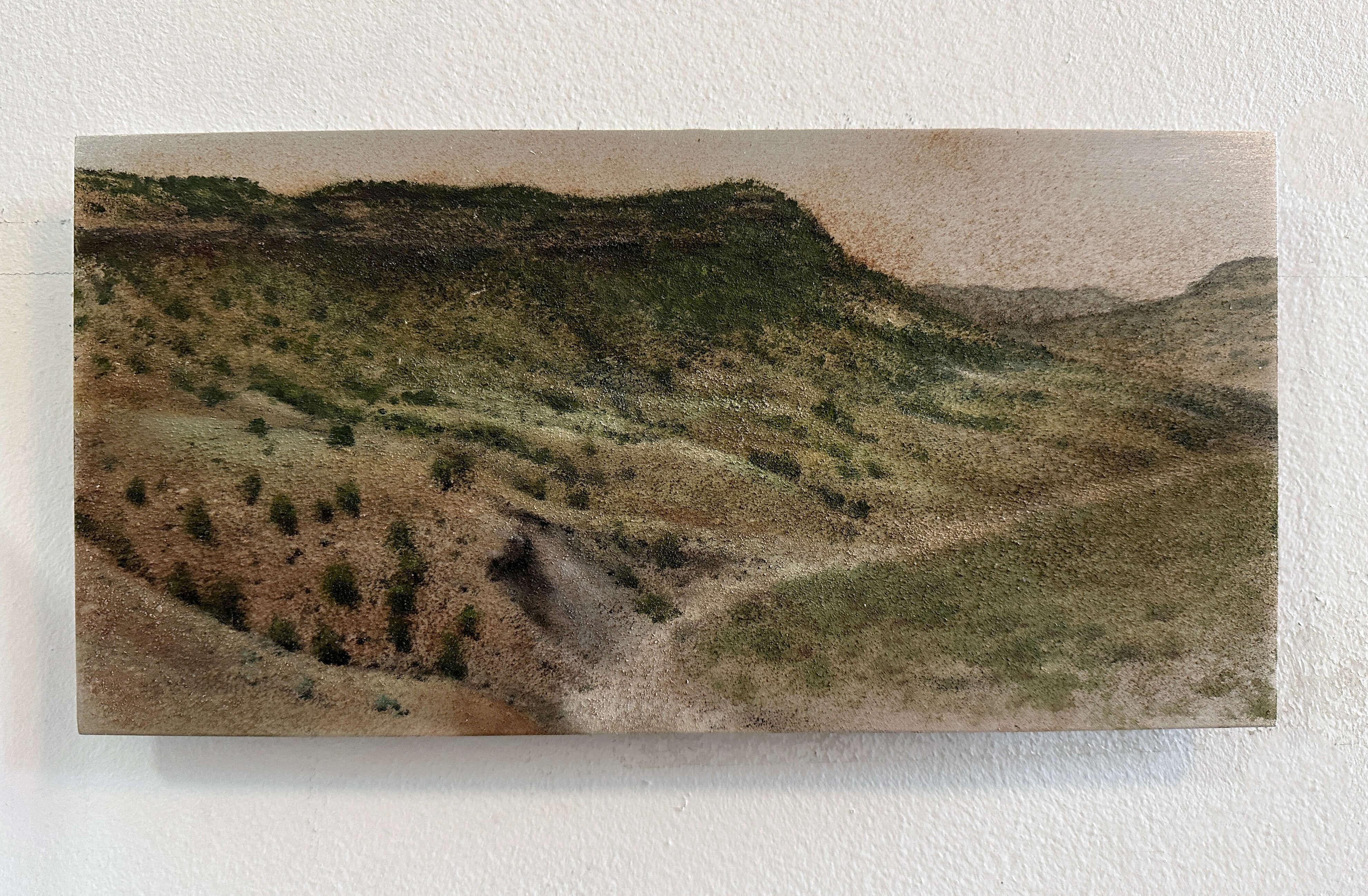 Vista sobre Dry Creek, Pintura al óleo y suciedad original - Painting Realista de Lisa Lebofsky