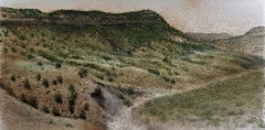 Vista sobre Dry Creek, Pintura al óleo y suciedad original