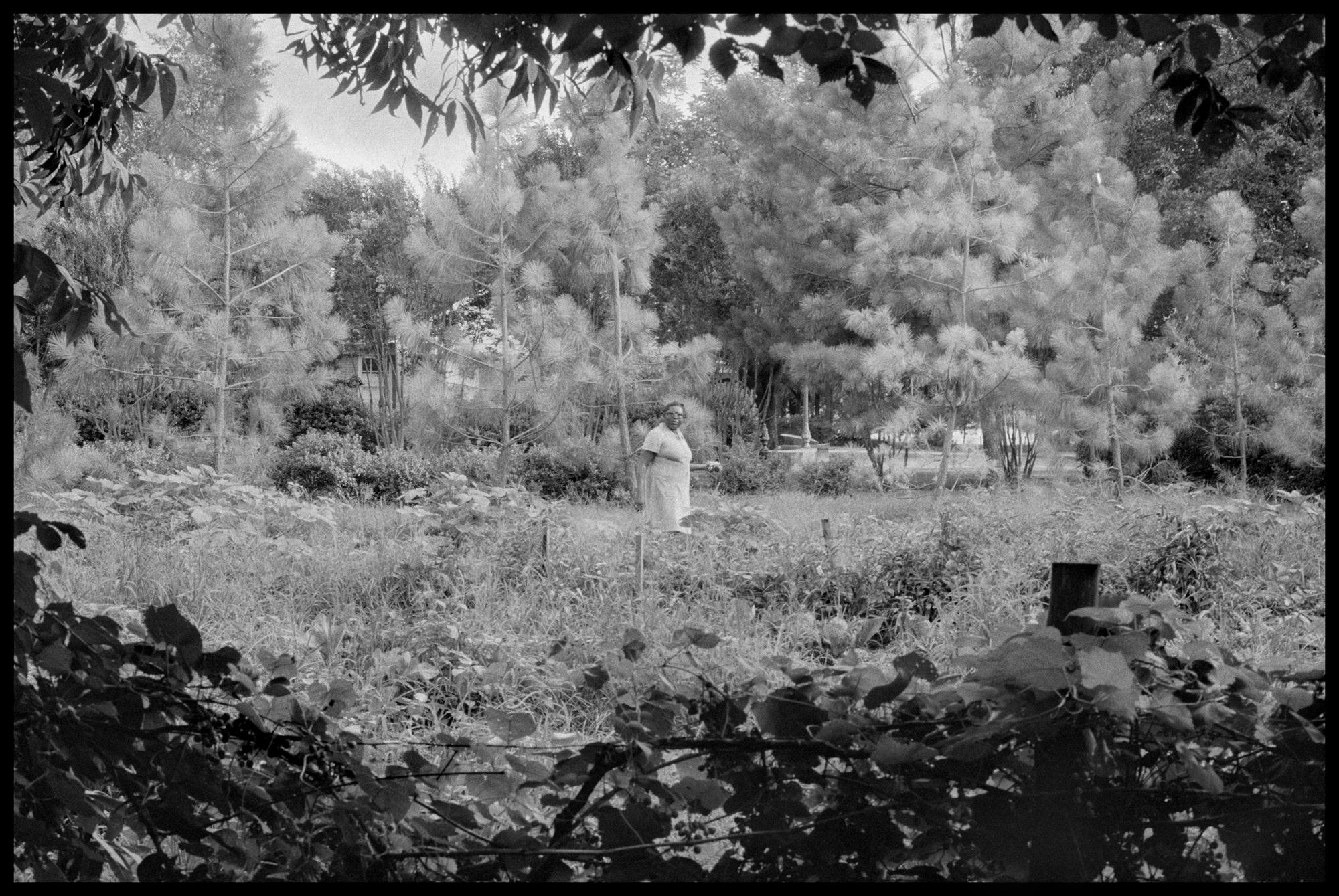 Nature Black and White Photography