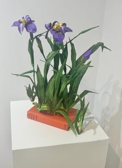 Brasilianische Stiel-Iris