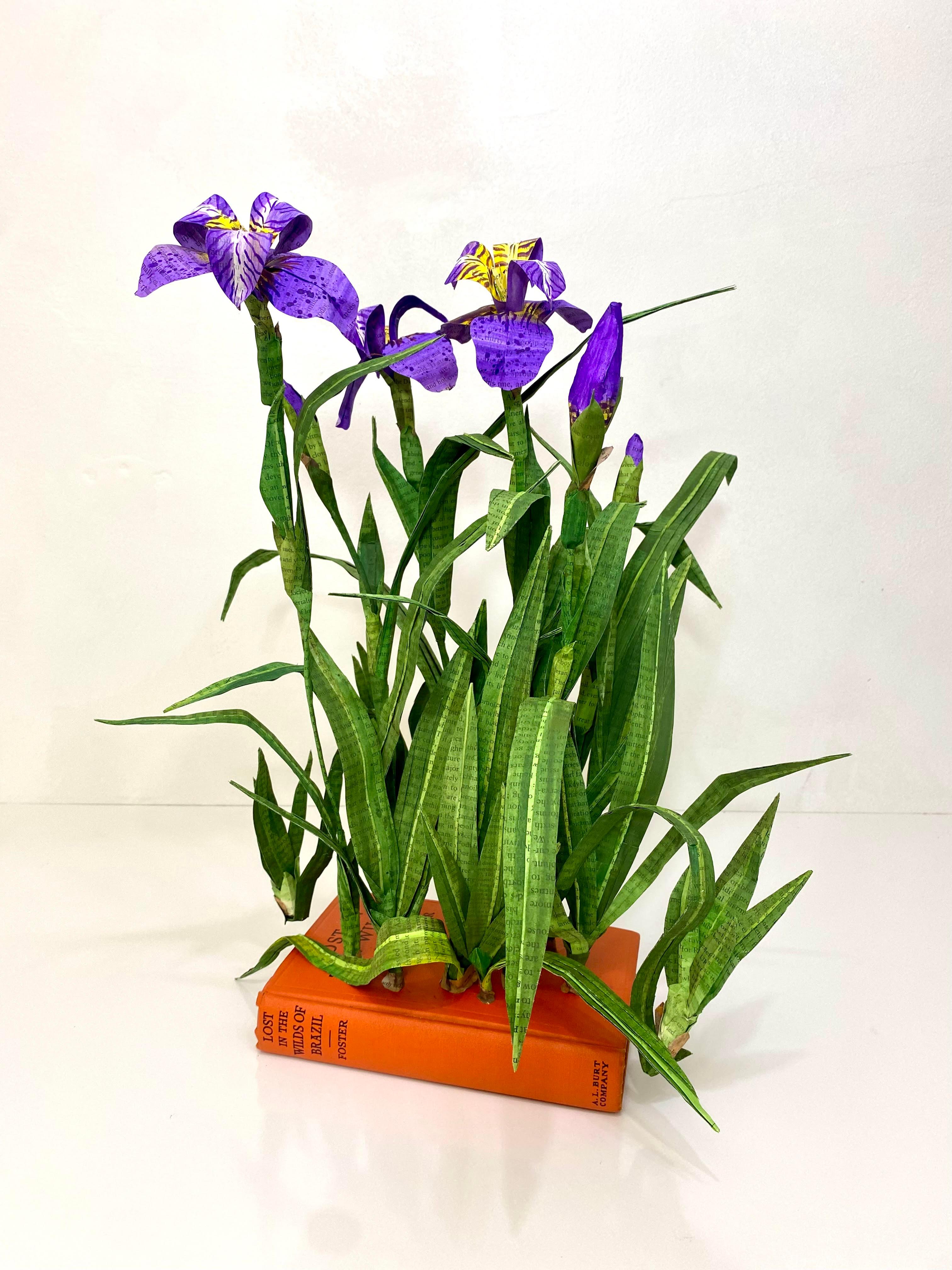 Brazilian Walking Iris - Mixed Media Art by Lisa Meek