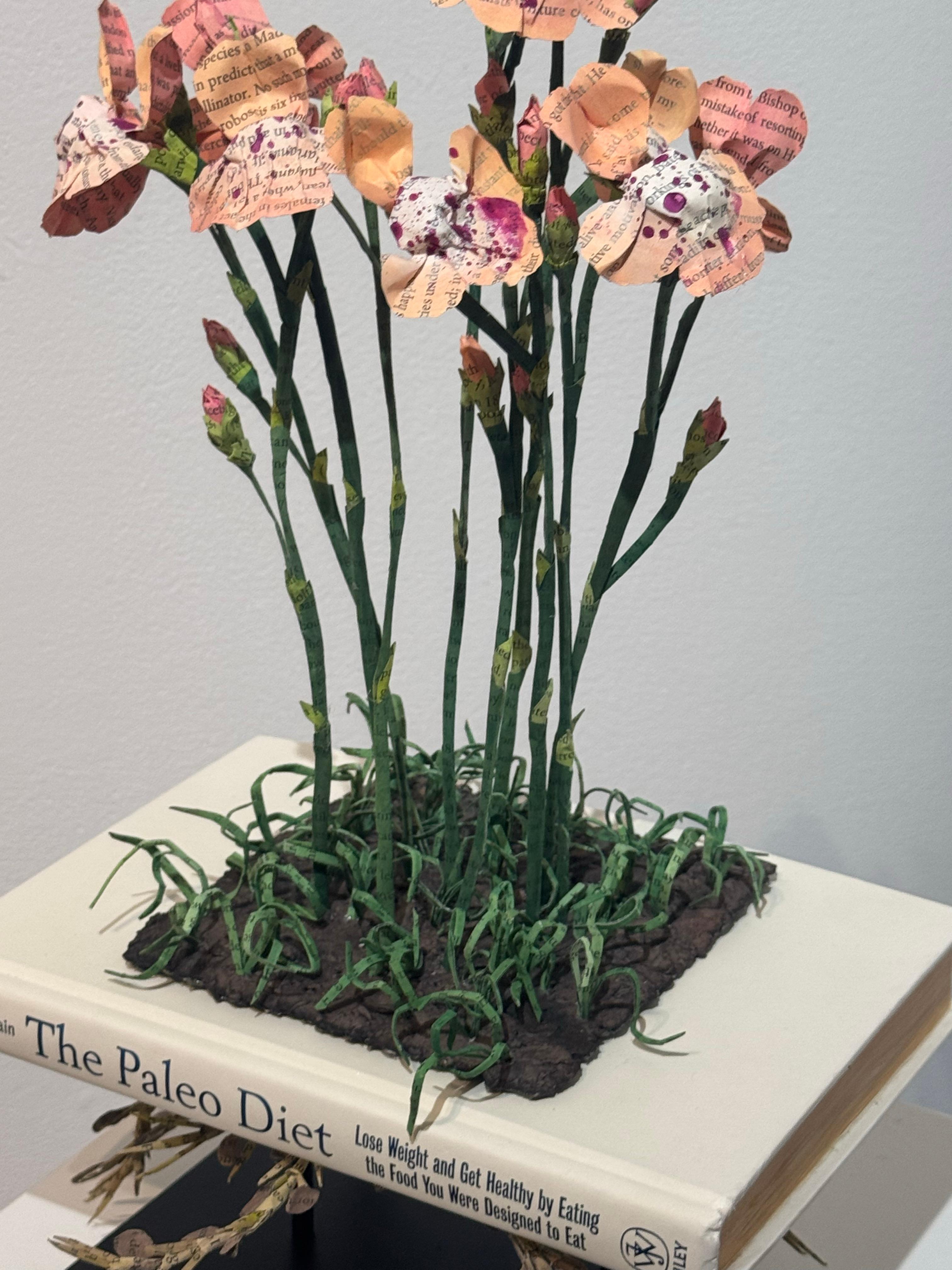 Lisa Meek transforms books by cutting their bindings, painting the pages and folding them to create floral blossoms rooted in the words of the authors. Each page has been lightly tinted adding a dimension of color to the work without obscuring the