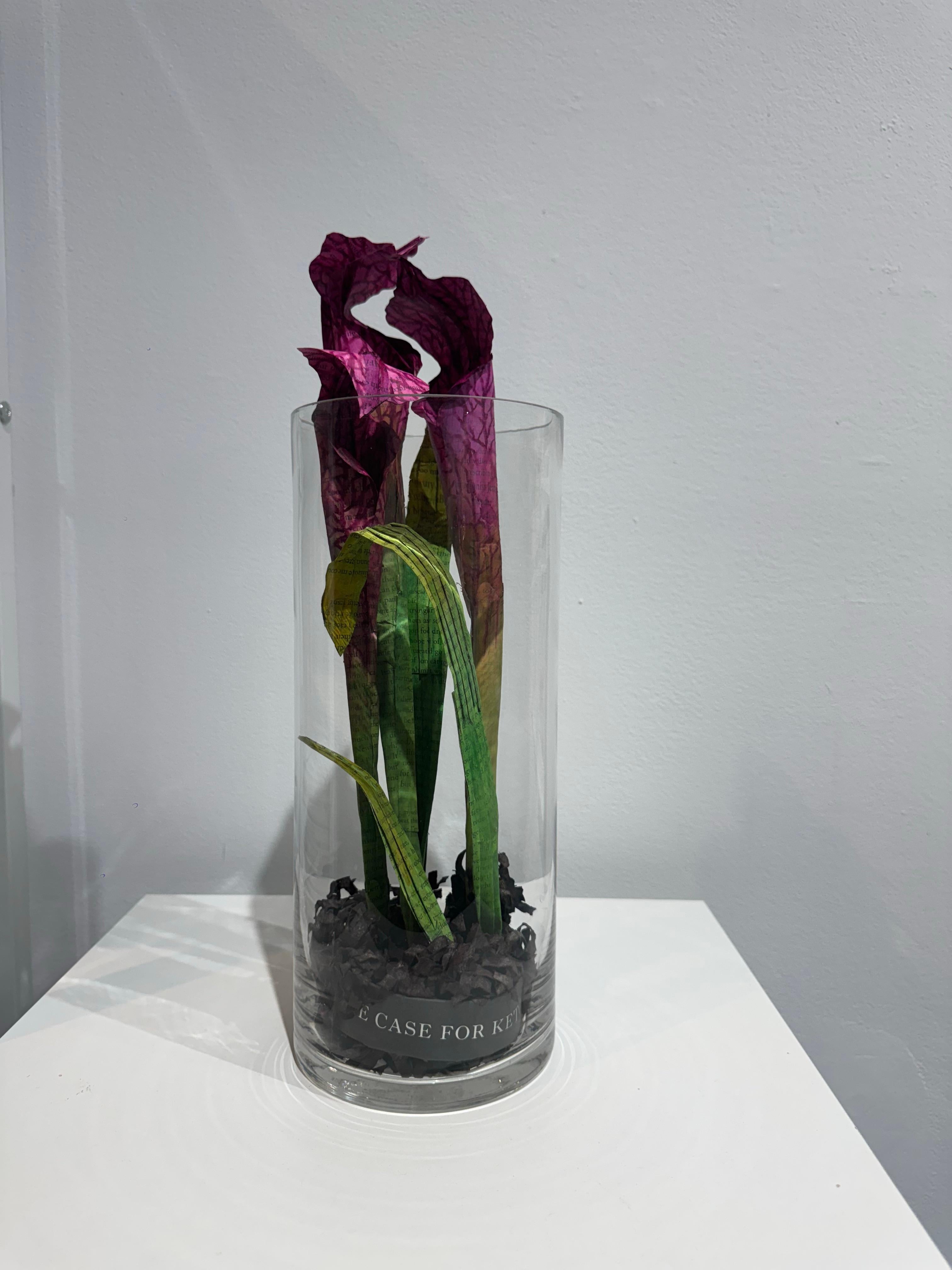 Pitcher Plant - Contemporary Mixed Media Art by Lisa Meek