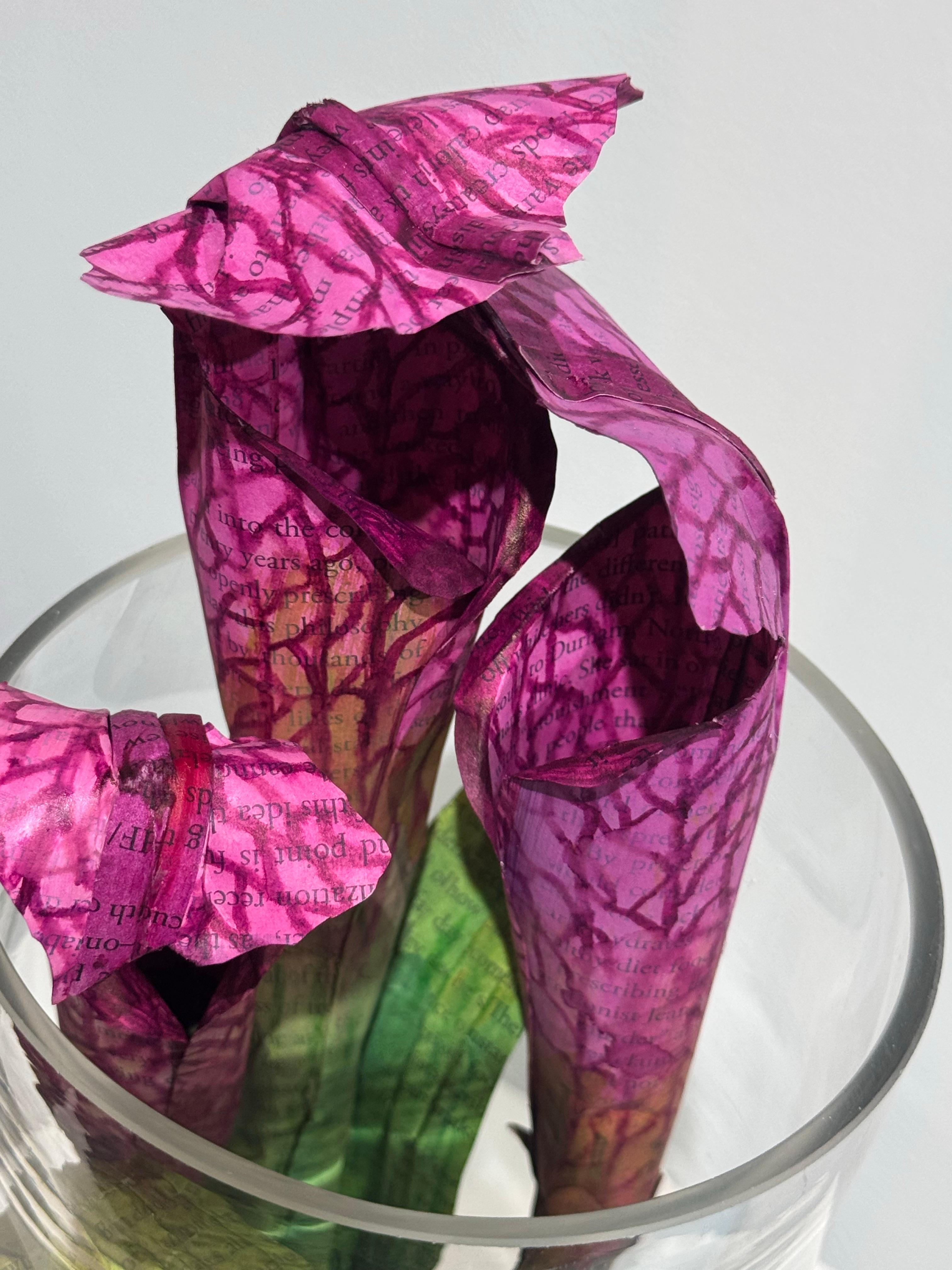 Lisa Meek transforms books by cutting their bindings, painting the pages and folding them to create floral blossoms rooted in the words of the authors. Each page has been lightly tinted adding a dimension of color to the work without obscuring the