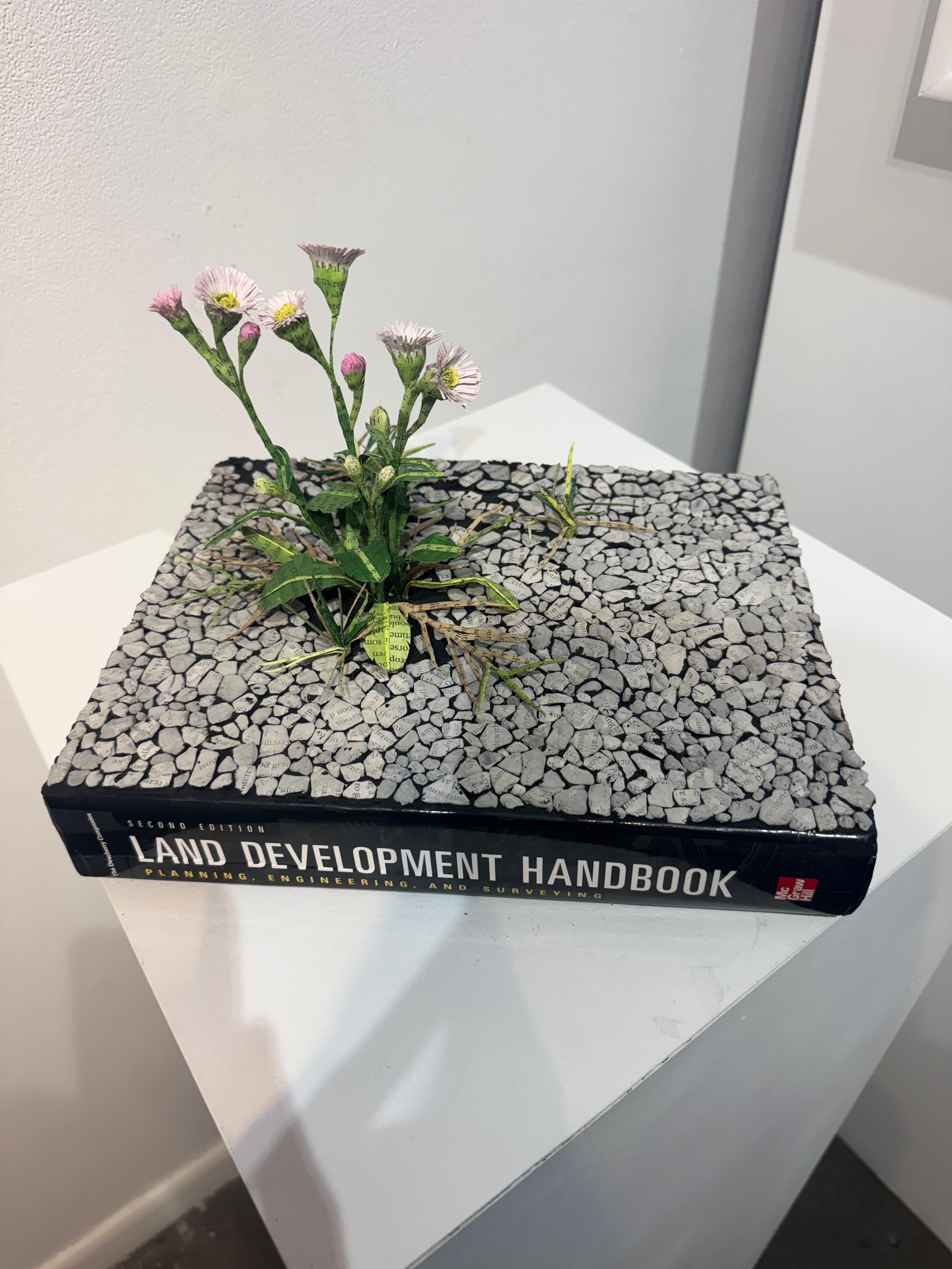 Lisa Meek transforms books by cutting their bindings, painting the pages and folding them to create floral blossoms rooted in the words of the authors. Each page has been lightly tinted adding a dimension of color to the work without obscuring the