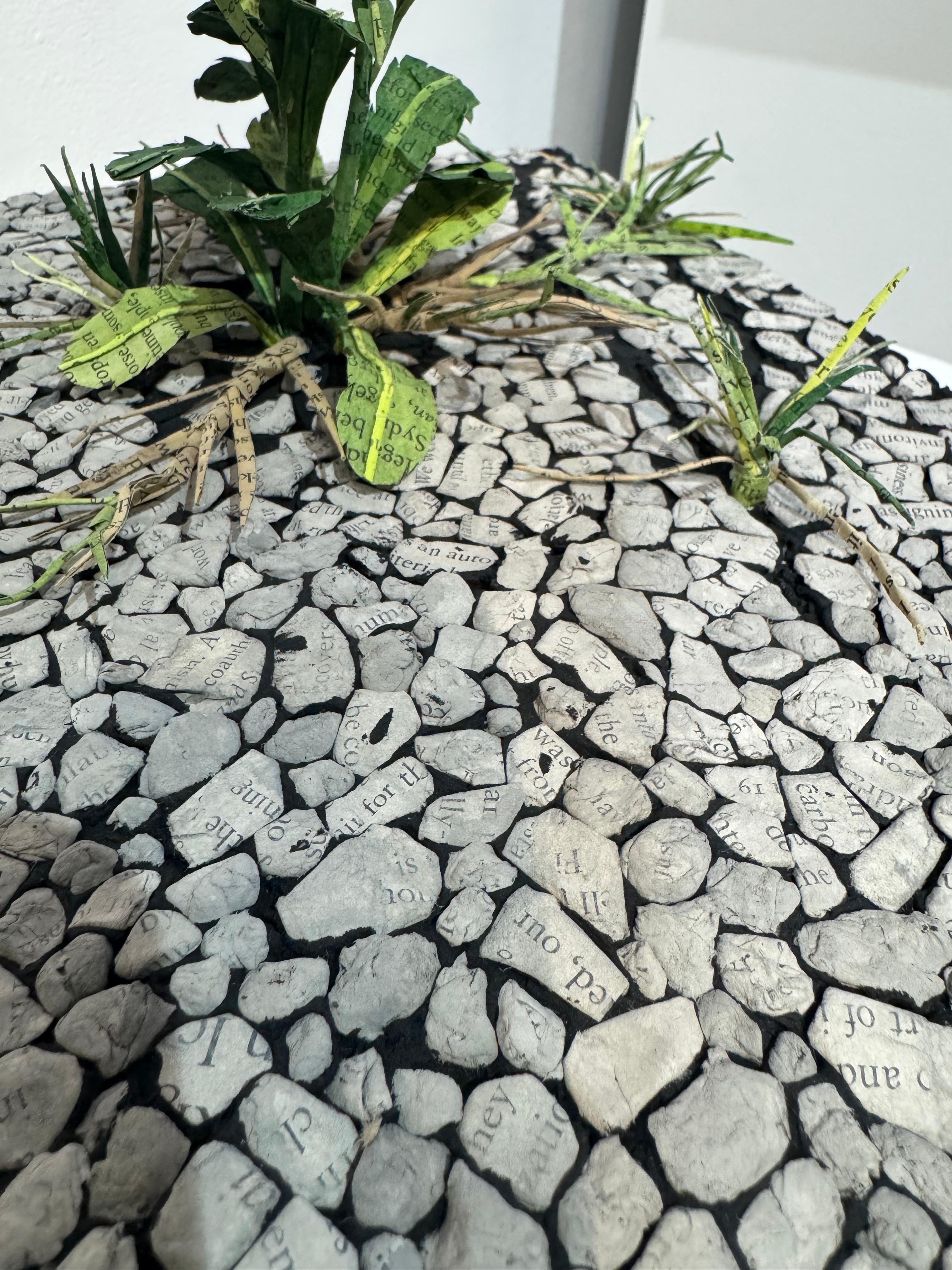 They Paved Paradise and put in a Parking lot. For Sale 1