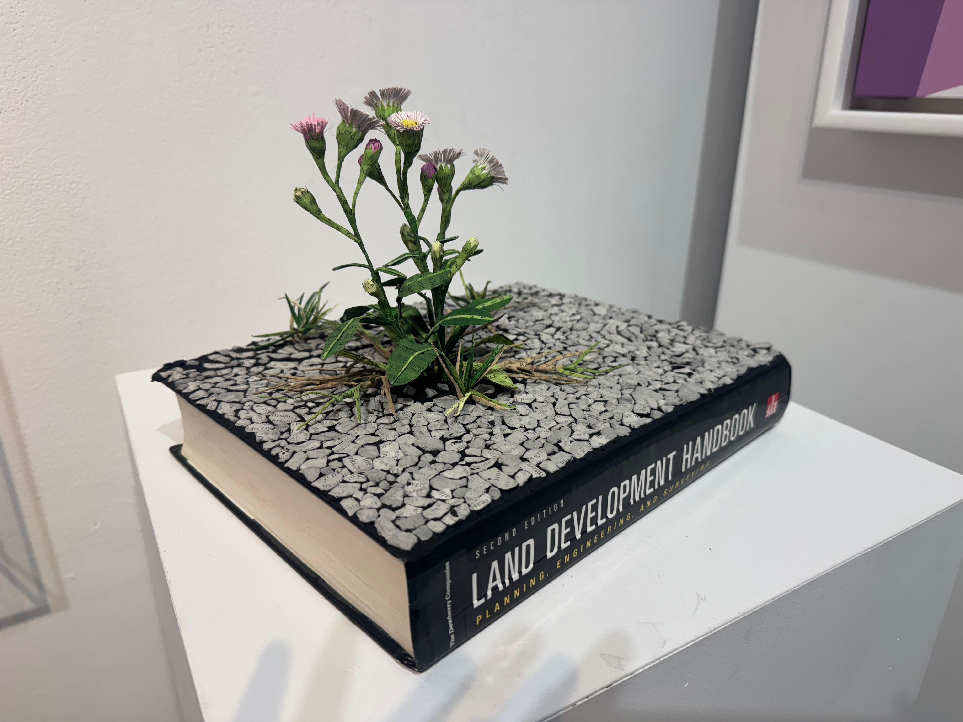 They Paved Paradise and put in a Parking lot. For Sale 2