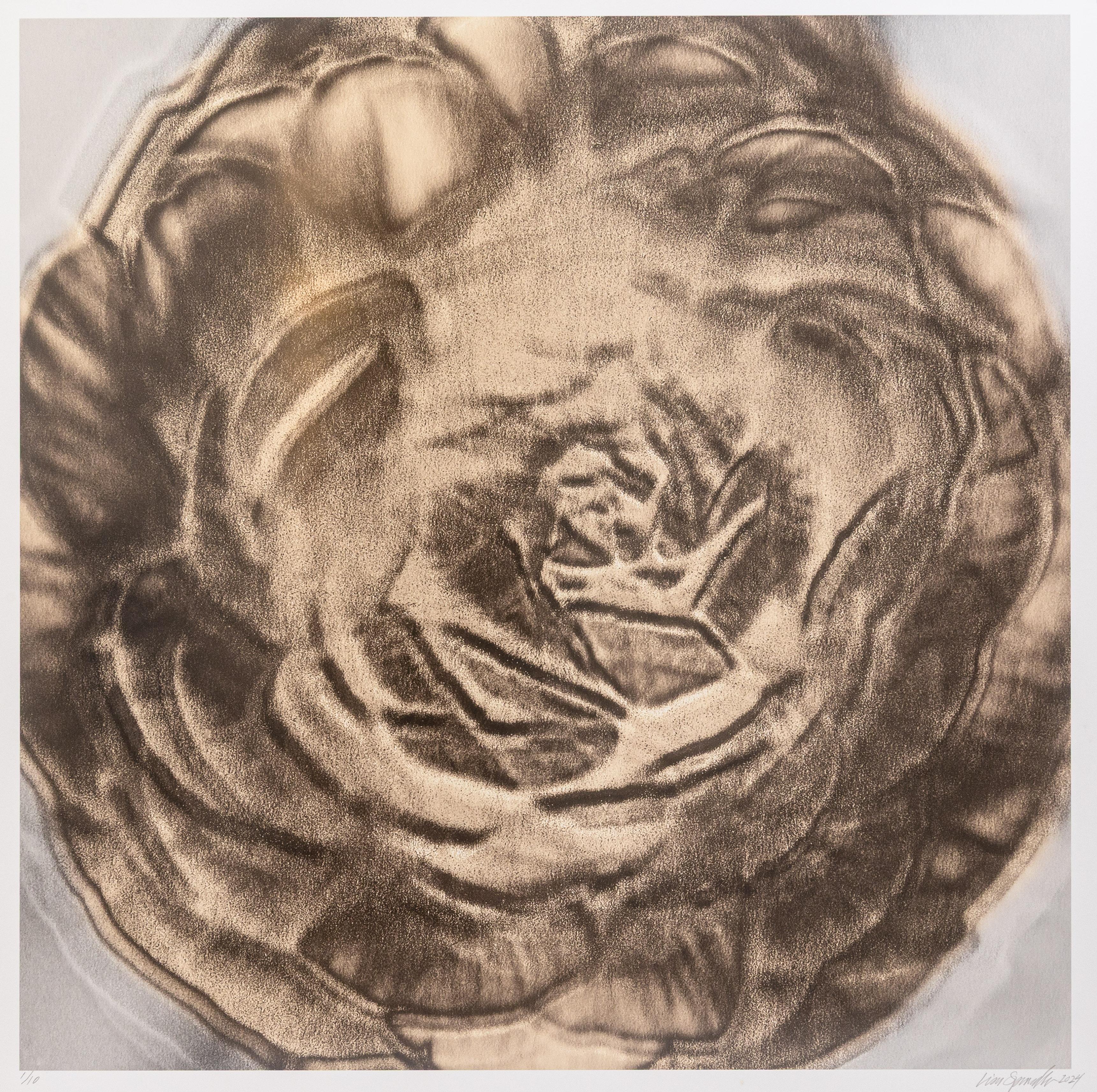 Moderne Lisa Spindler Untitled Rose Series I 2024 Signed Contemporary Photograph 1/10 en vente