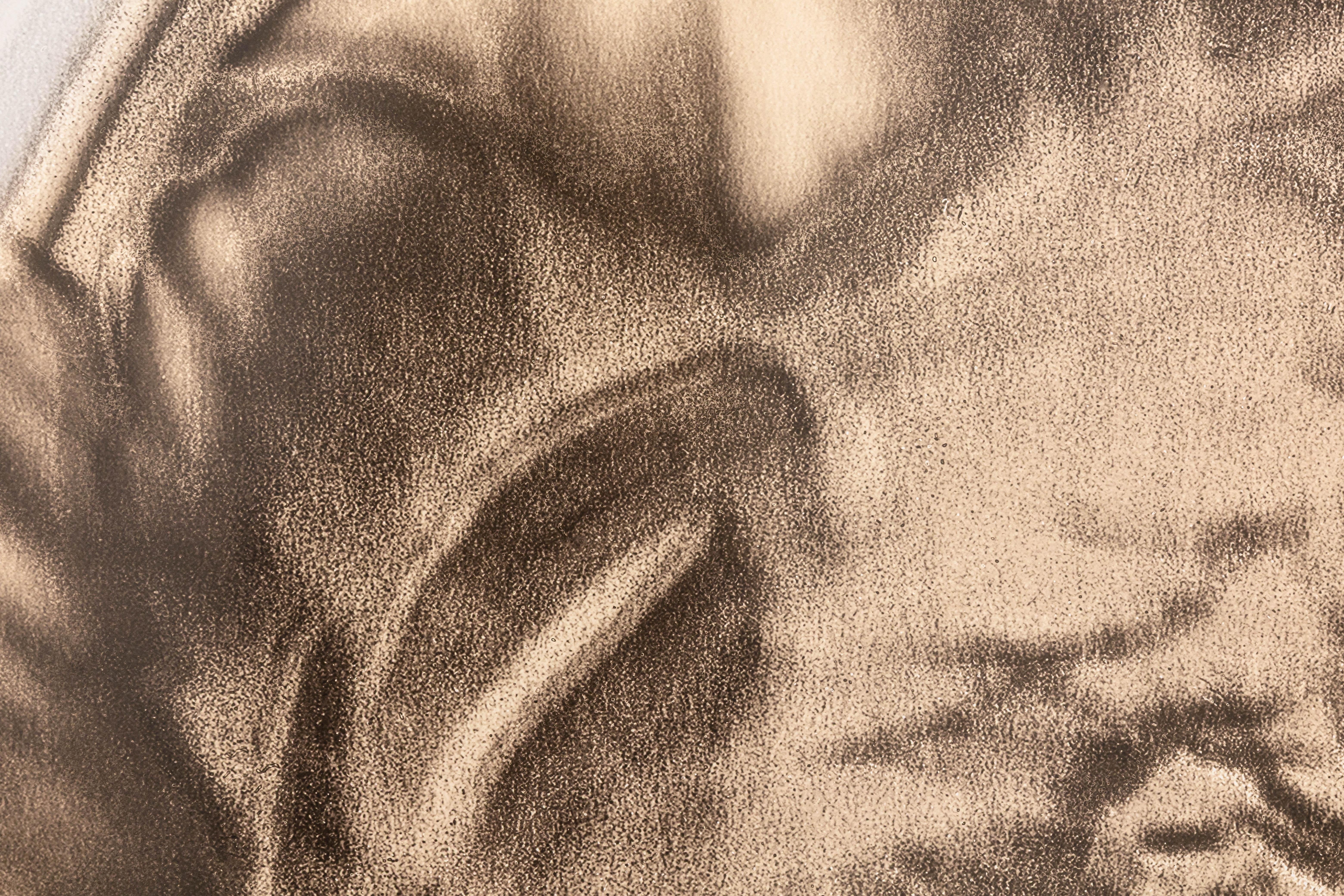 Américain Lisa Spindler Untitled Rose Series I 2024 Signed Contemporary Photograph 1/10 en vente