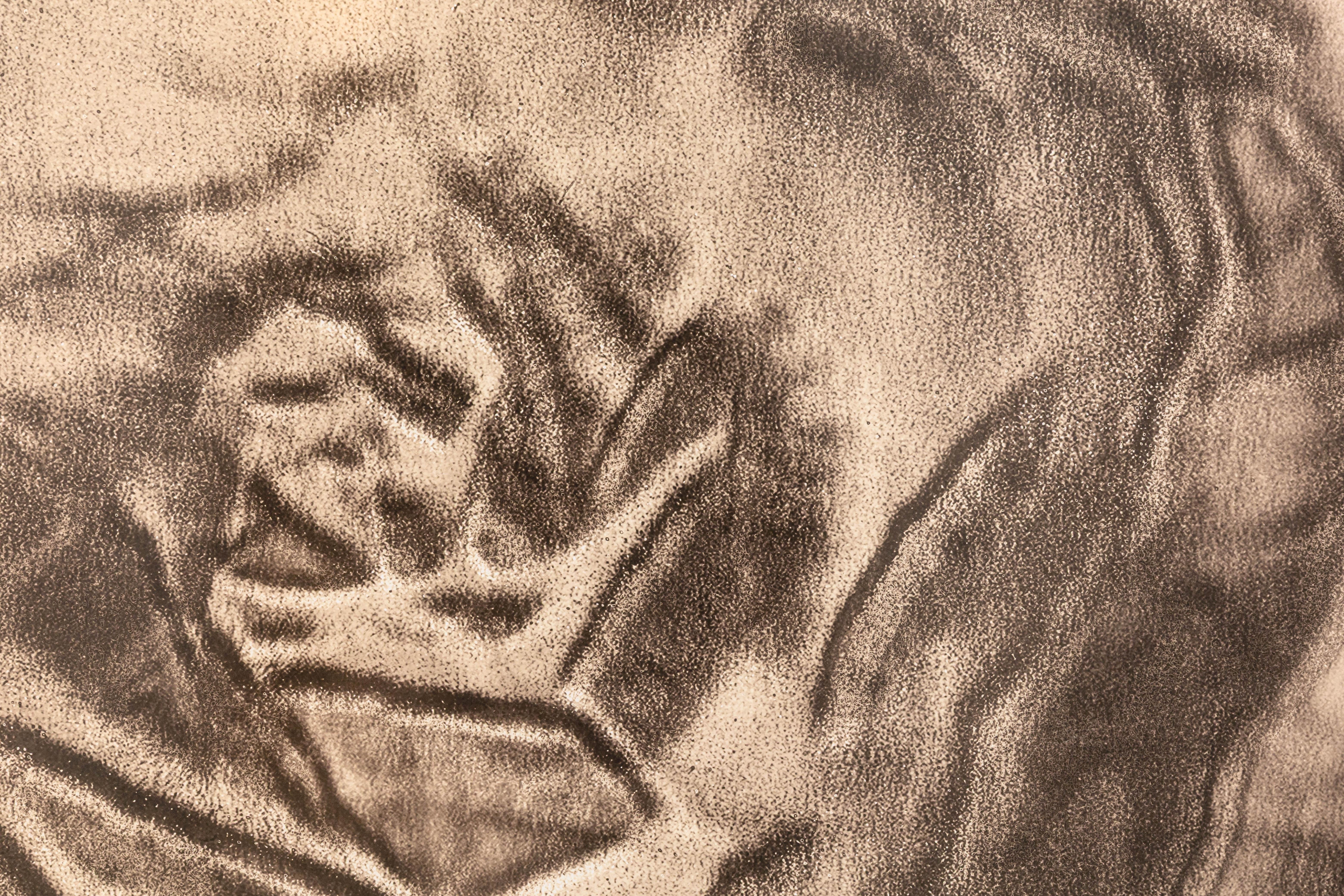 Lisa Spindler Untitled Rose Series I 2024 Signed Contemporary Photograph 1/10 Bon état - En vente à Keego Harbor, MI