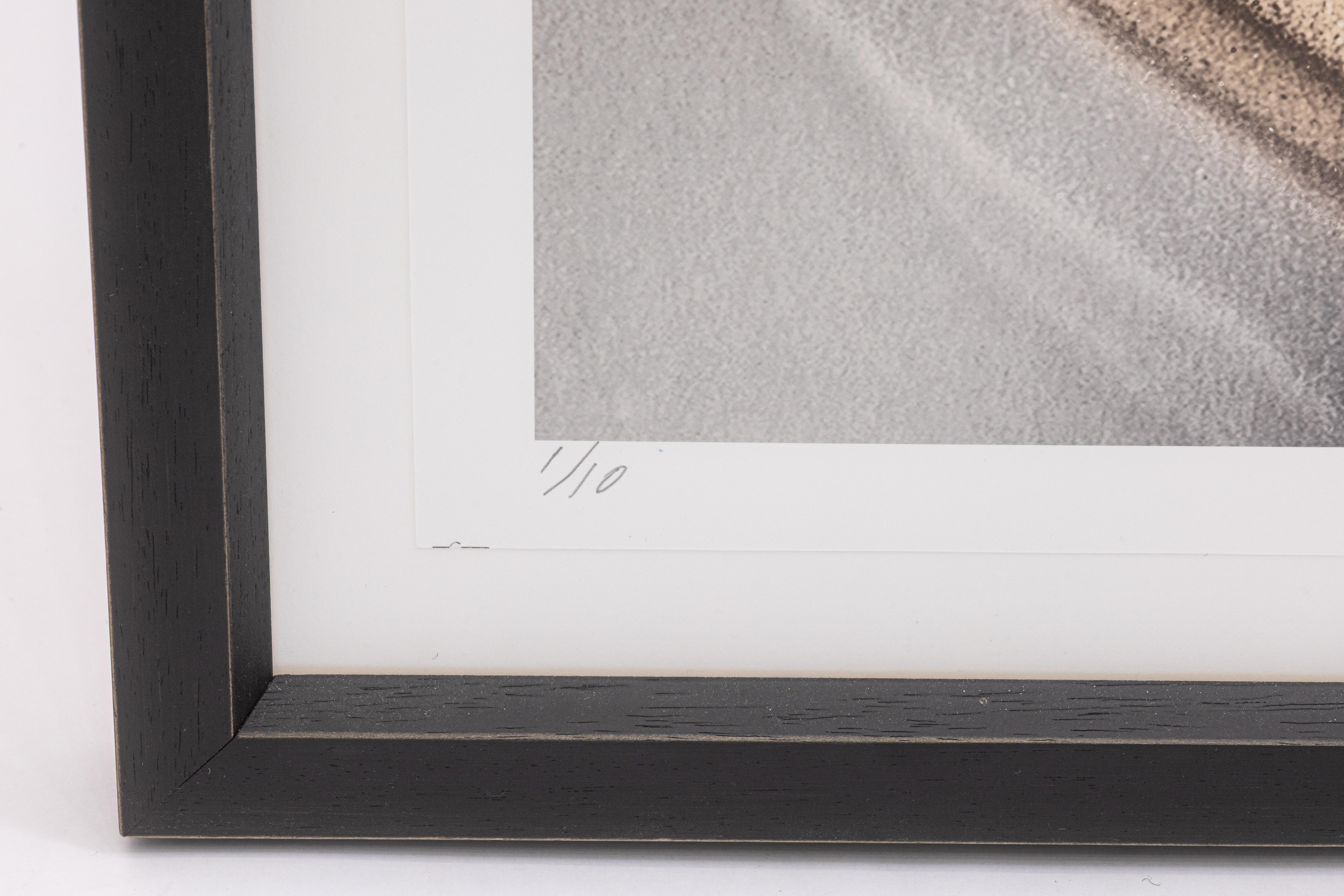 XXIe siècle et contemporain Lisa Spindler Untitled Rose Series I 2024 Signed Contemporary Photograph 1/10 en vente