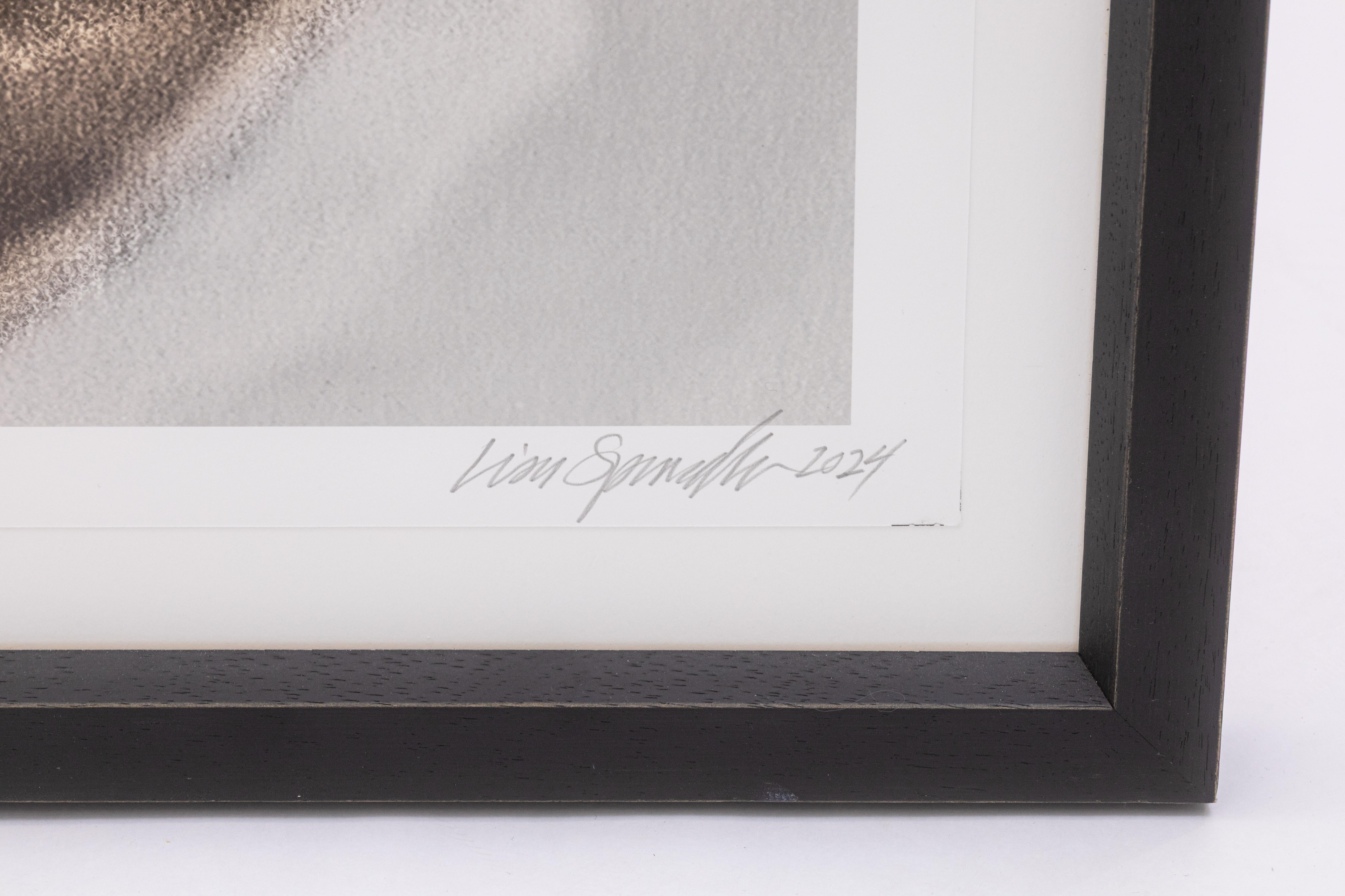 Papier Lisa Spindler Untitled Rose Series I 2024 Signed Contemporary Photograph 1/10 en vente