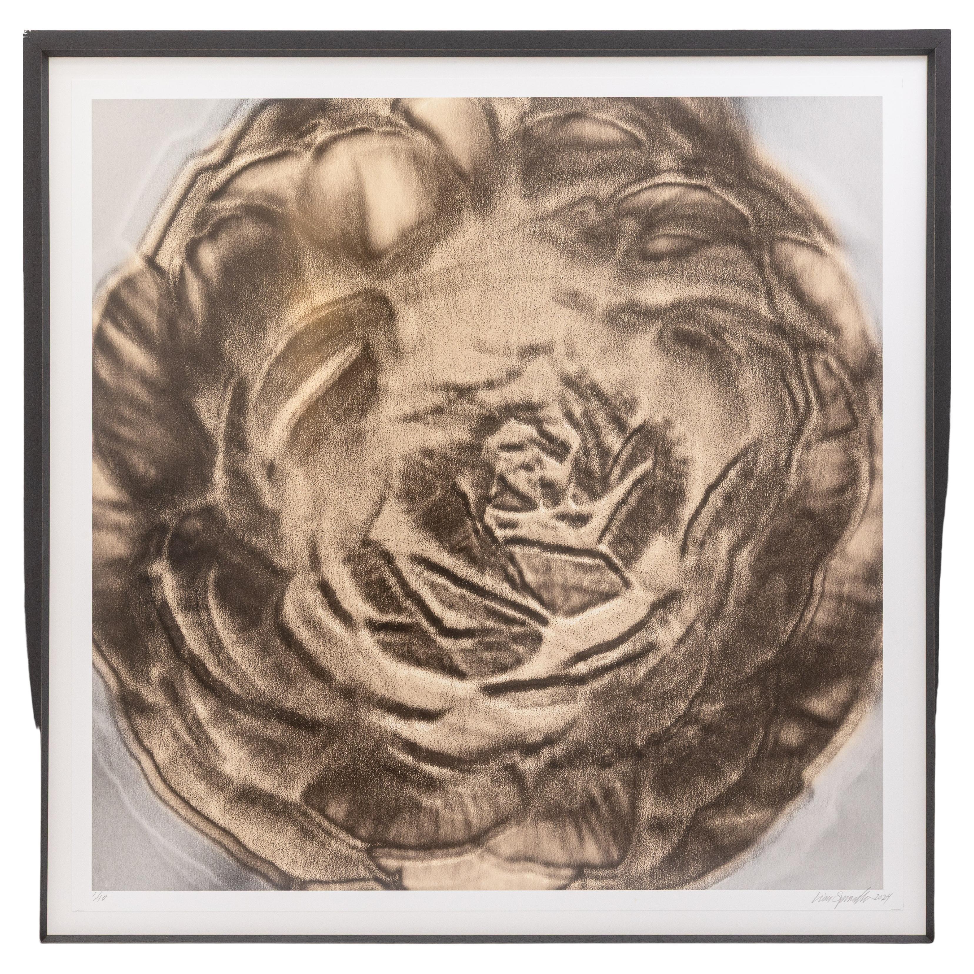 Lisa Spindler Untitled Rose Series I 2024 Signed Contemporary Photograph 1/10