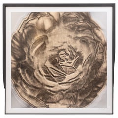 Lisa Spindler Untitled Rose Series I 2024 Signed Contemporary Photograph 1/10