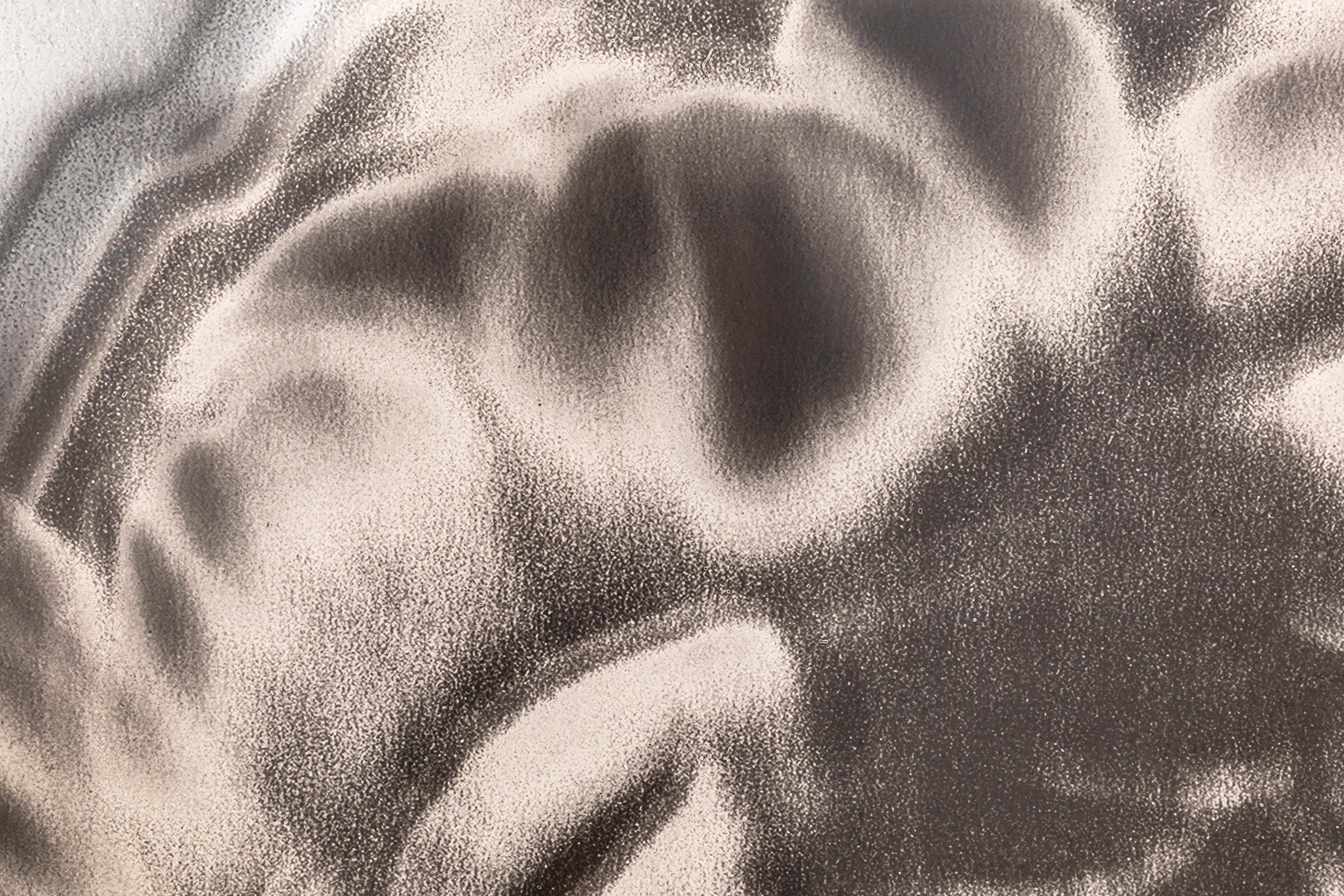 American Lisa Spindler Untitled Rose Series II 2024 Signed Contemporary Photograph 1/10 For Sale