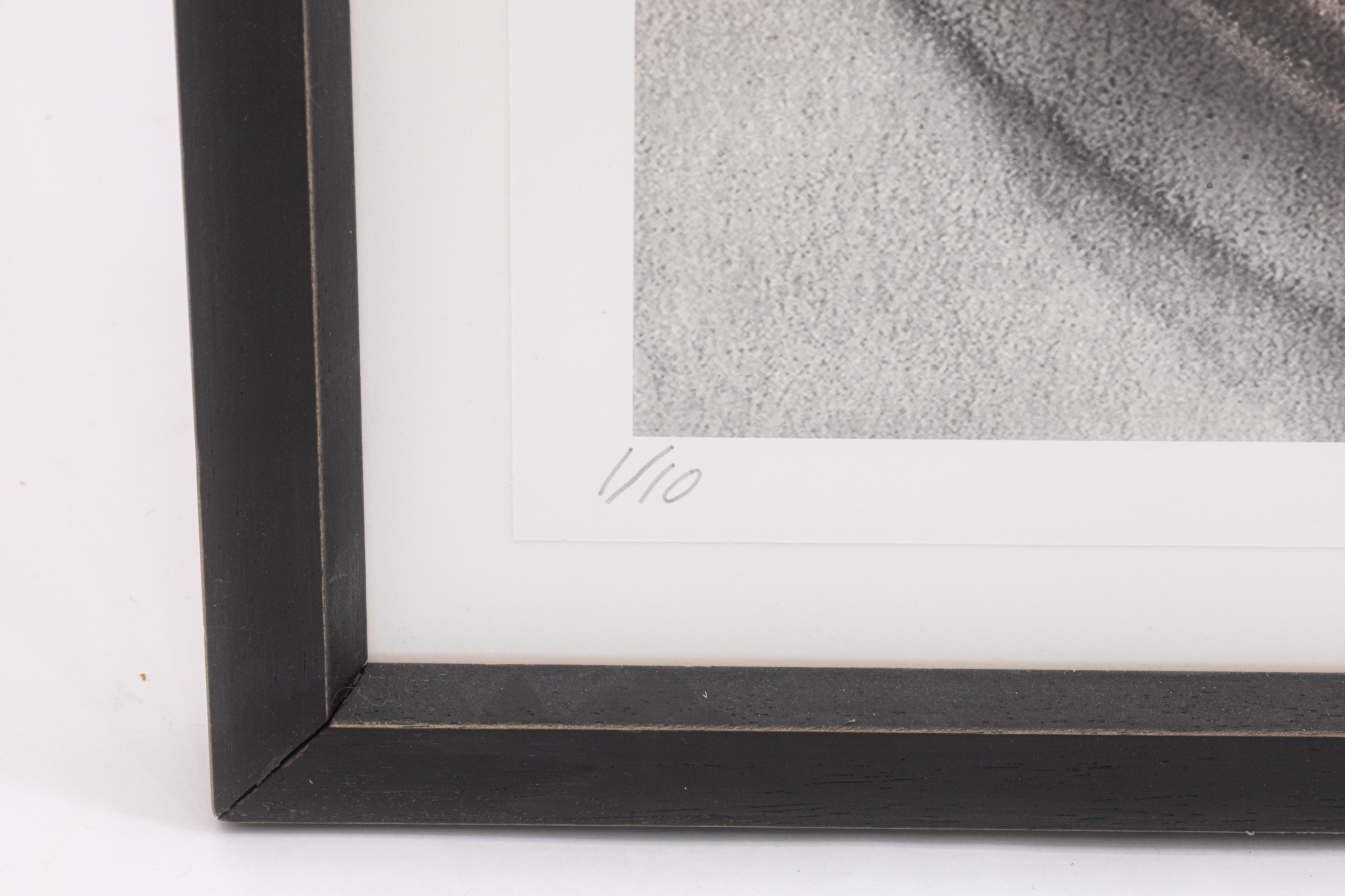 Paper Lisa Spindler Untitled Rose Series II 2024 Signed Contemporary Photograph 1/10 For Sale