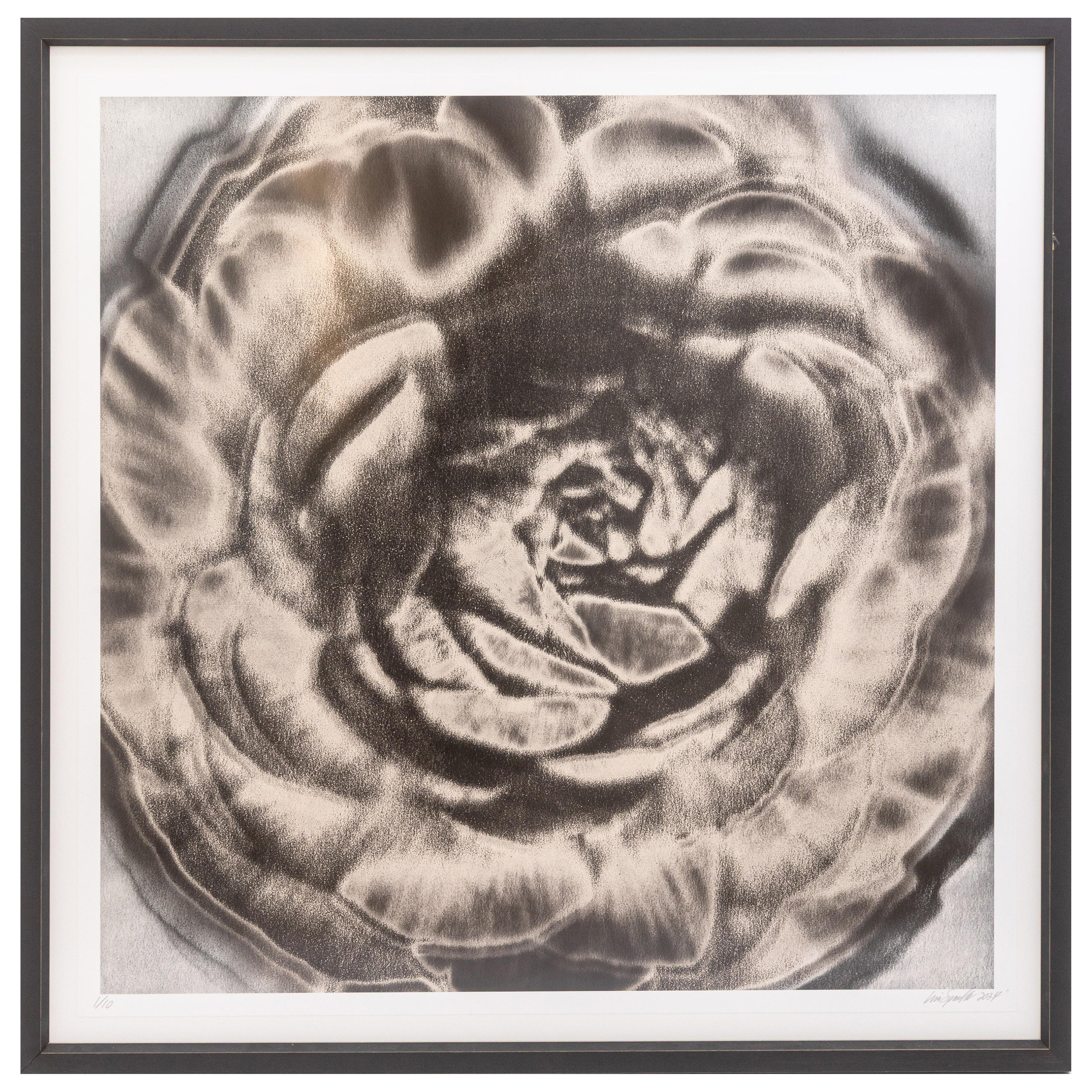 Lisa Spindler Untitled Rose Series II 2024 Signed Contemporary Photograph 1/10