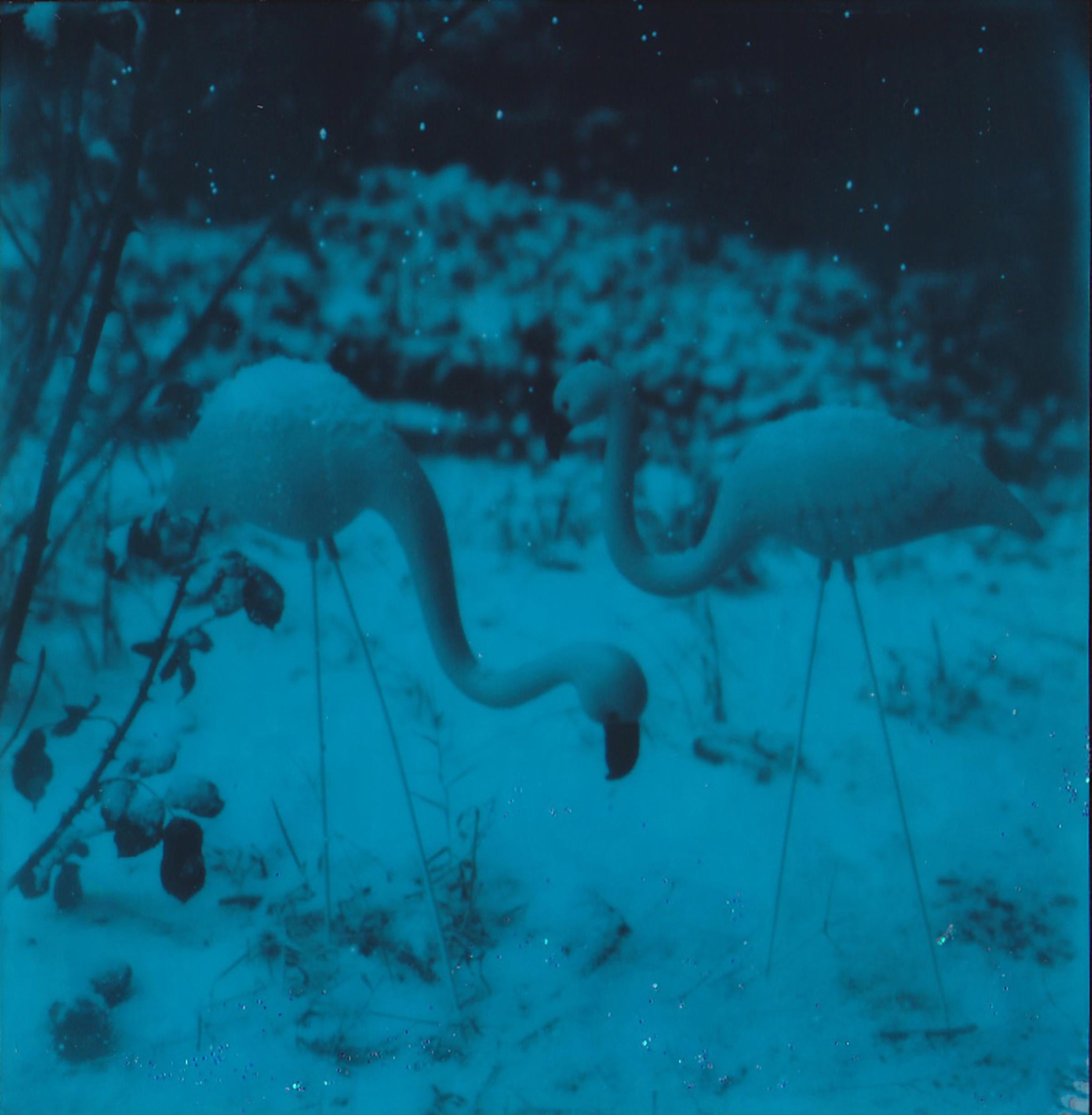Lisa Toboz Color Photograph – Der erste Schnee –  Zeitgenössisch, figurativ, Frau, Polaroid,  21. Jahrhundert