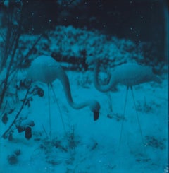 Used First Snow -  Contemporary, Figurative, Woman, Polaroid,  21st Century