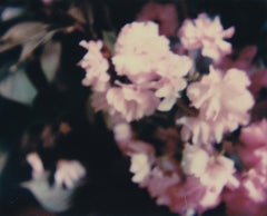 In Bloom - Zeitgenössisch, figürlich, Frau, Polaroid, 21. Jahrhundert
