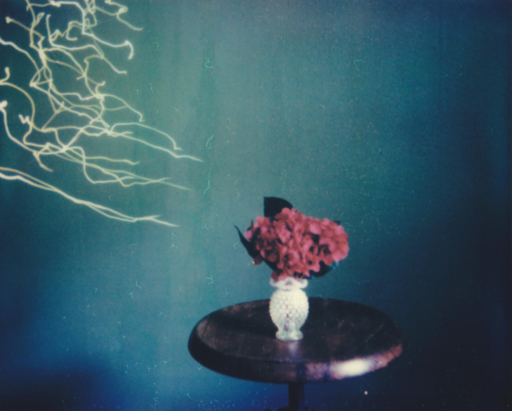 Lisa Toboz Figurative Photograph - In Bloom - Contemporary, Figurative, Woman, Polaroid, 21st Century