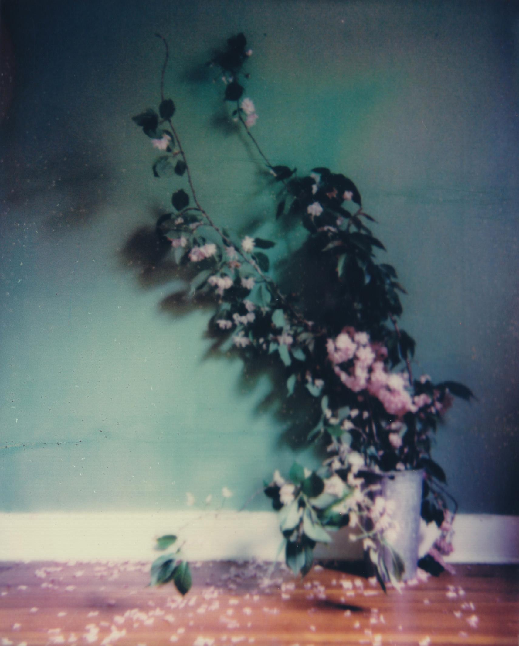 Lisa Toboz Color Photograph - In Bloom - Contemporary, Woman, Polaroid, Painting