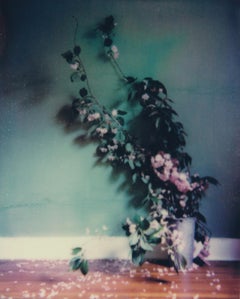 In Bloom - Contemporain, Femme, Polaroid, Peinture