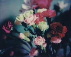 In Bloom - Contemporaneo, Donna, Polaroid, Pittura